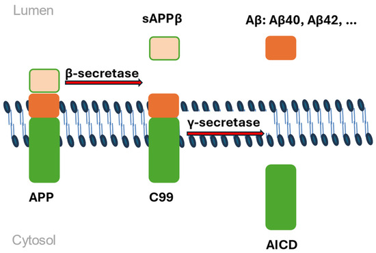 Recent Advances and Future Directions in Alzheimer's Disease