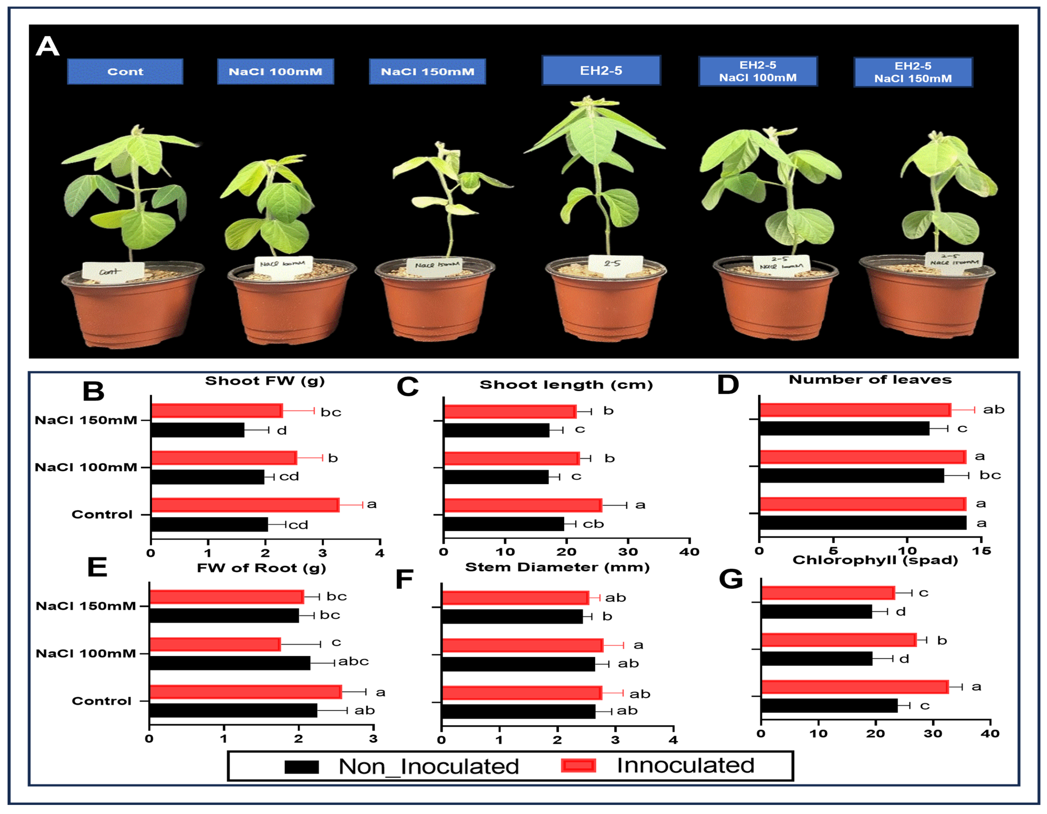 Ijms 26 07834 g004 Ijms 26 07834 g004