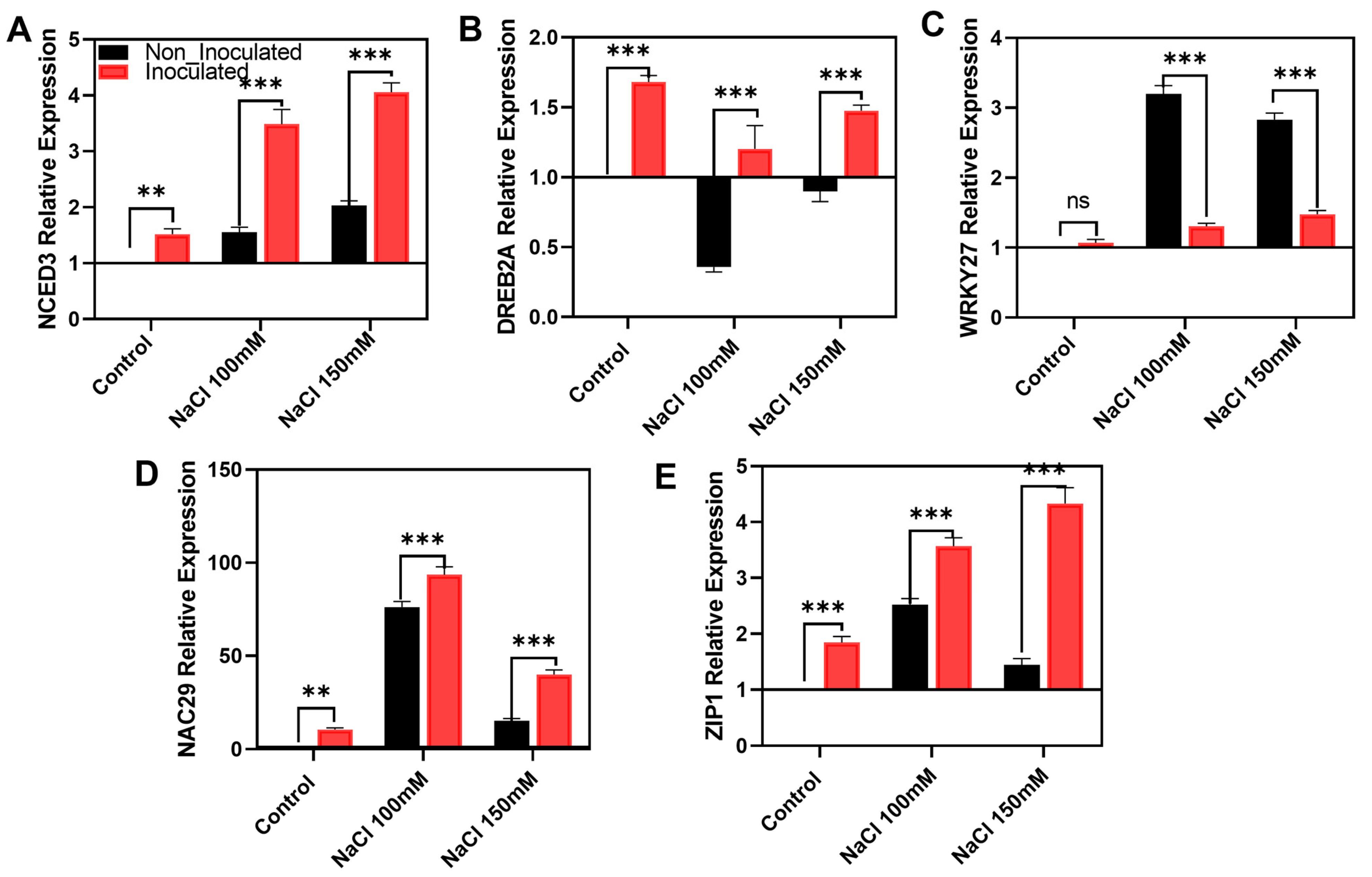 Ijms 26 07834 g006 Ijms 26 07834 g006