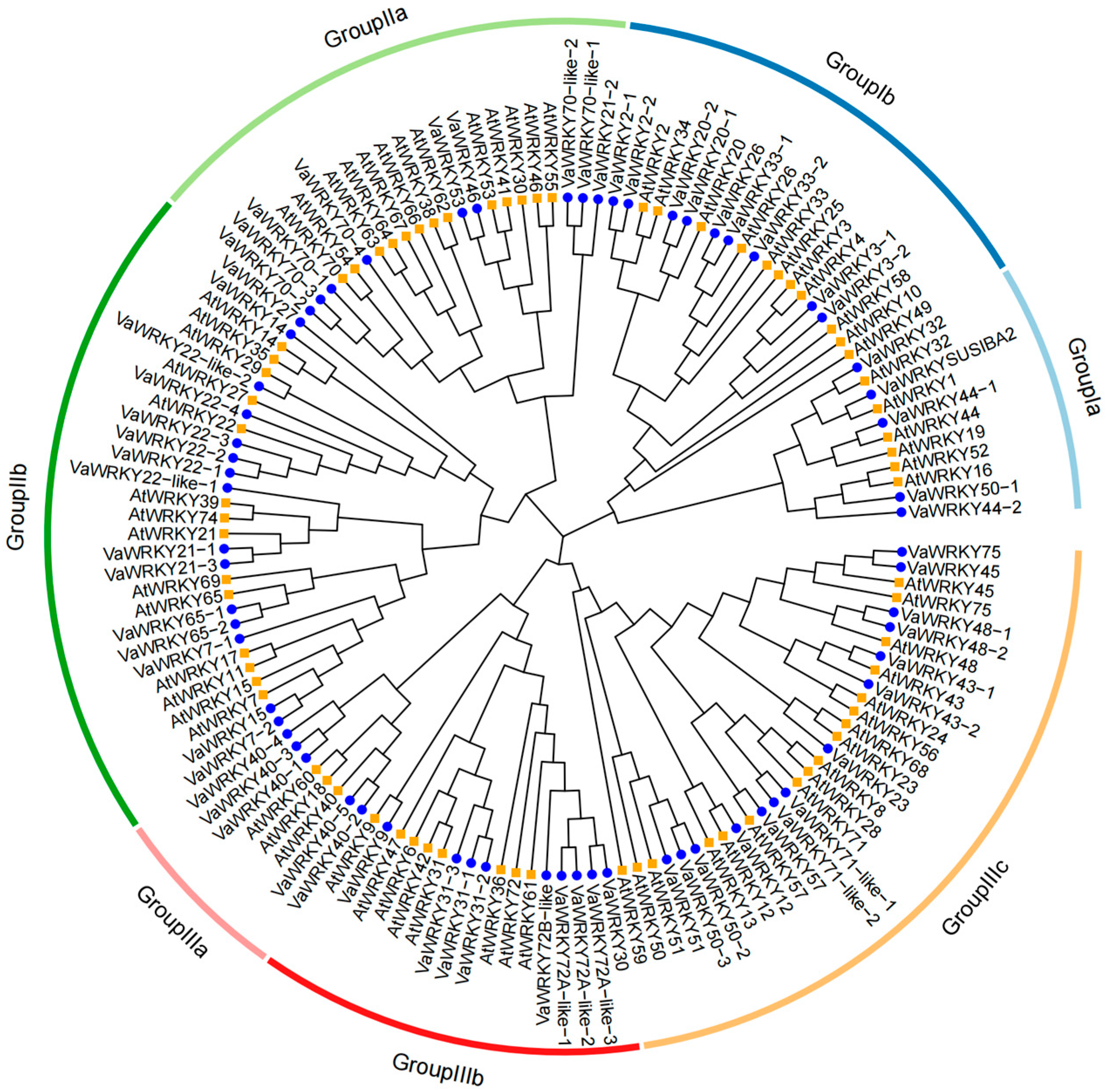 Ijms 26 07835 g001 Ijms 26 07835 g001