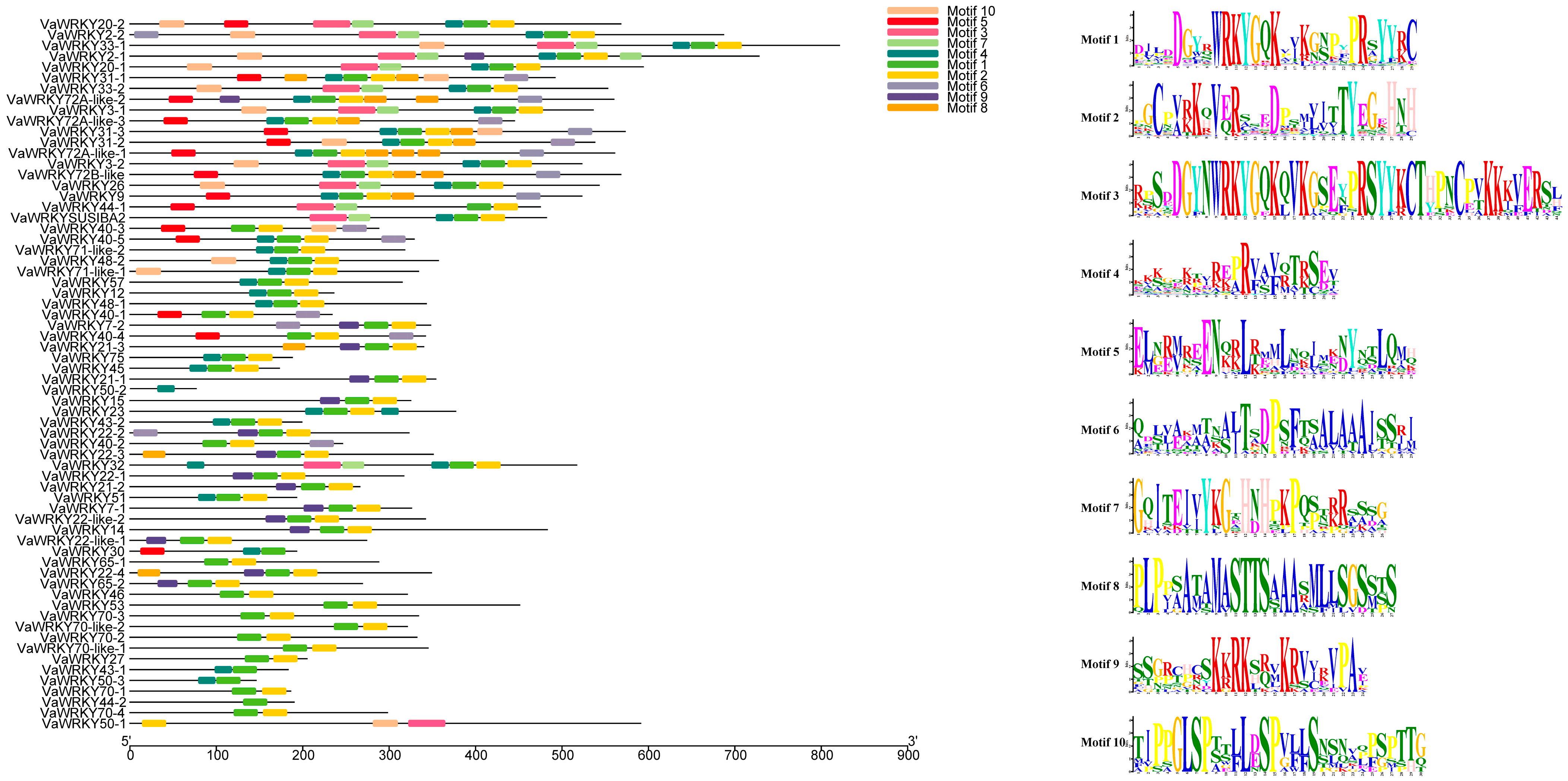 Ijms 26 07835 g003 Ijms 26 07835 g003