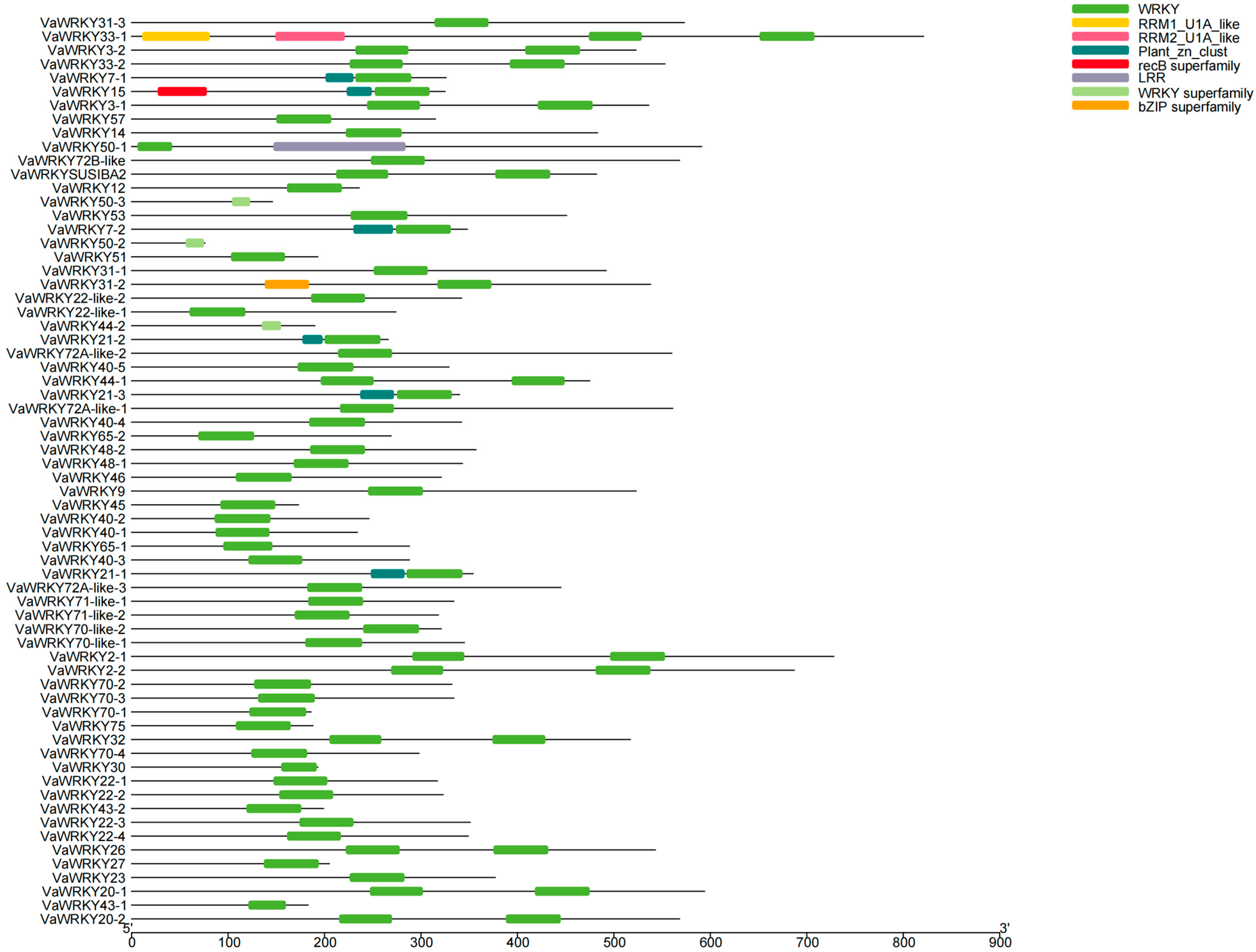 Ijms 26 07835 g004 Ijms 26 07835 g004