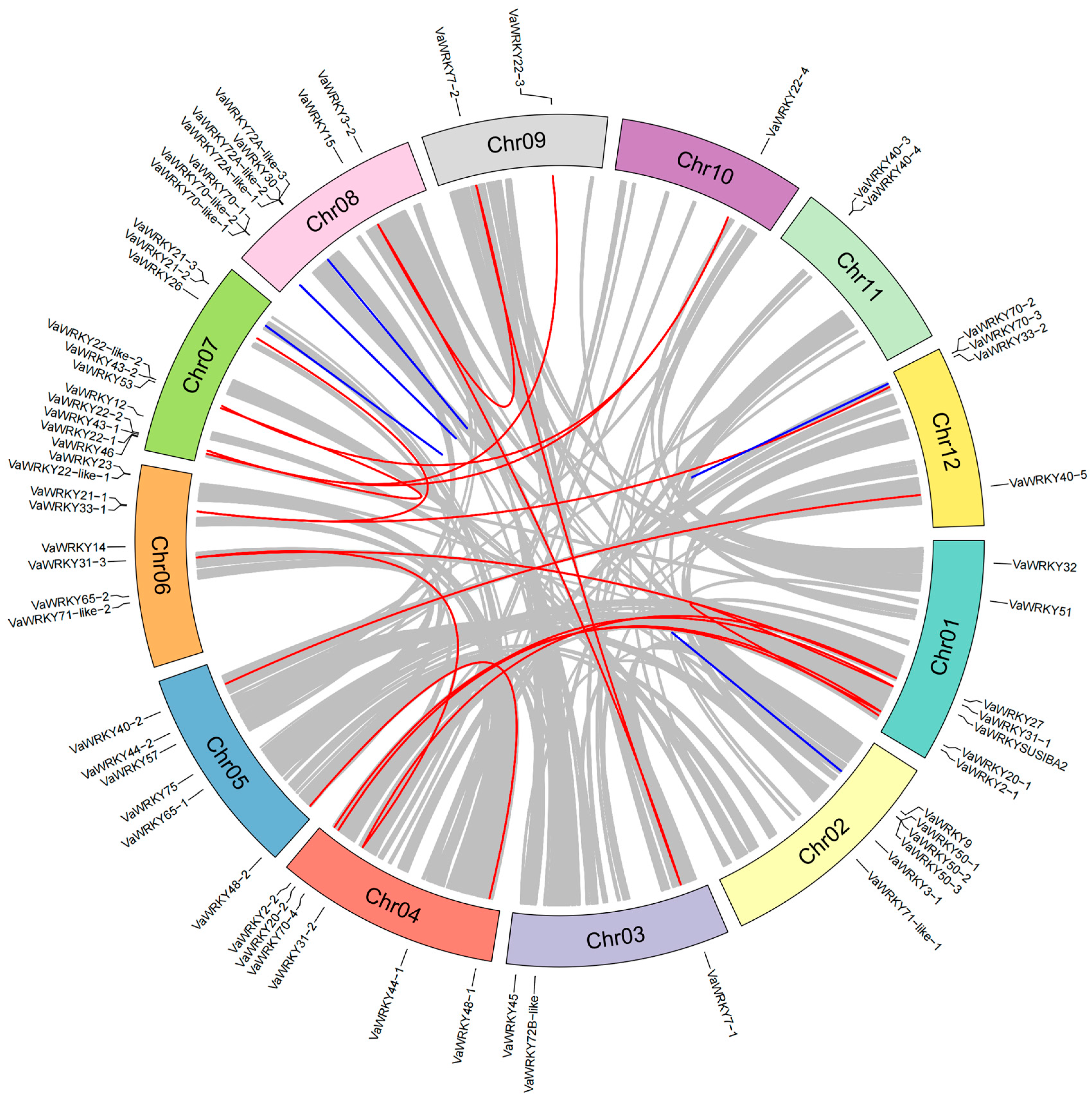 Ijms 26 07835 g006 Ijms 26 07835 g006