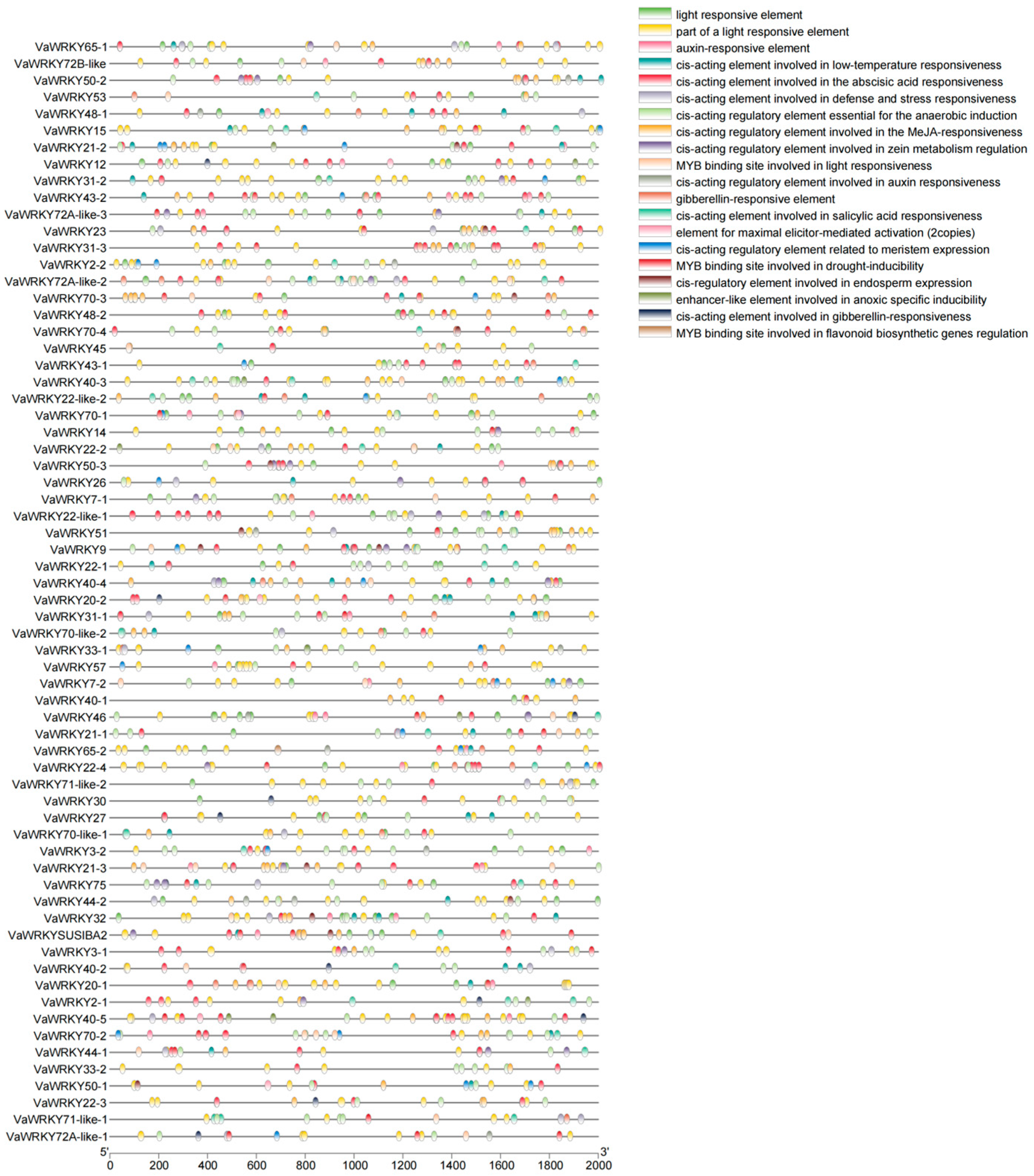 Ijms 26 07835 g007 Ijms 26 07835 g007