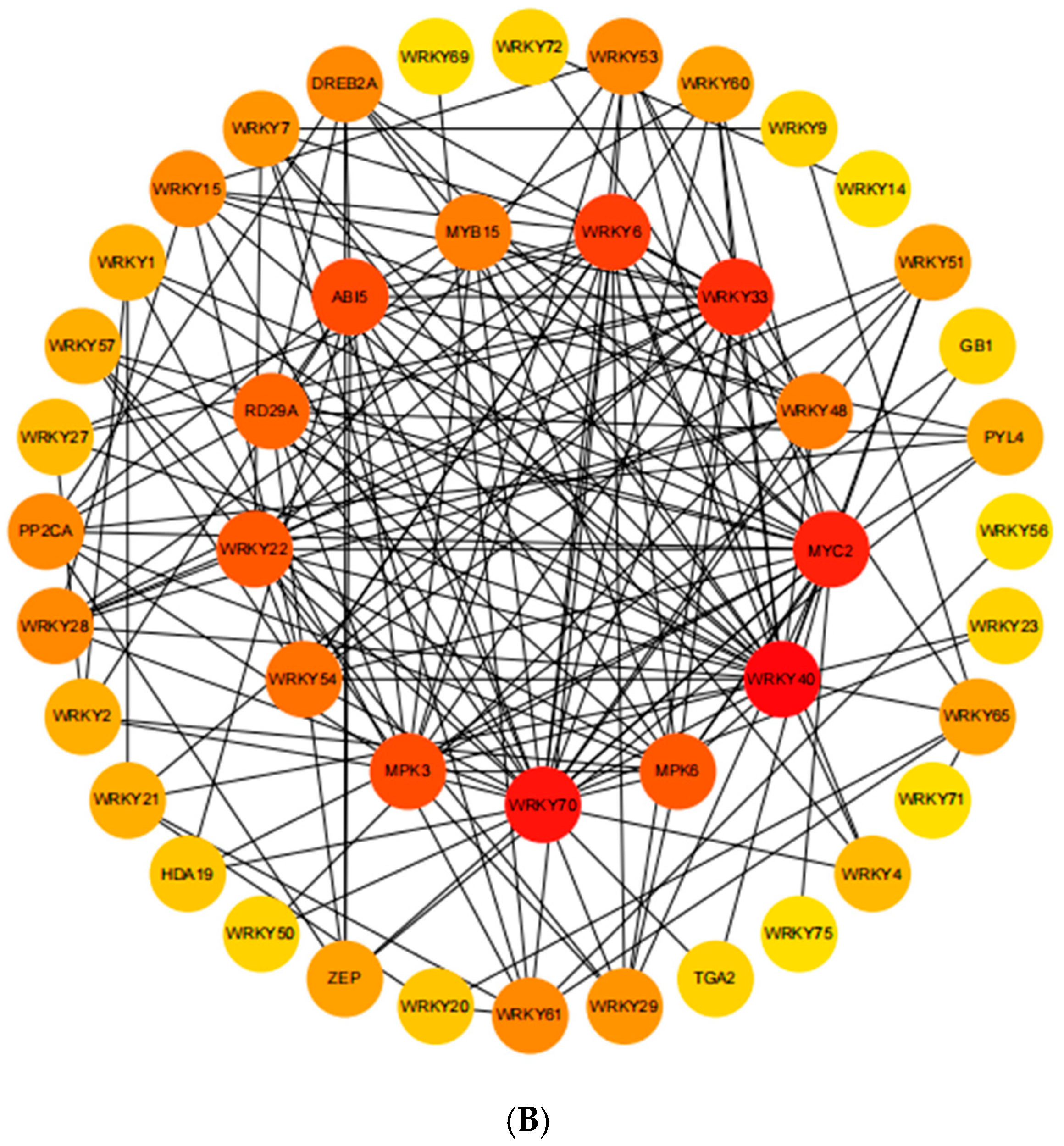 Ijms 26 07835 g009b Ijms 26 07835 g009b