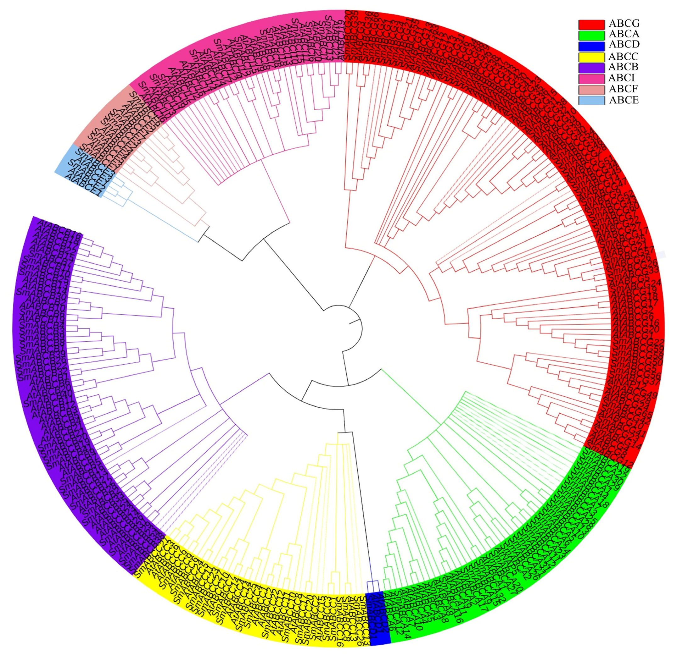 Ijms 26 07848 g001 Ijms 26 07848 g001