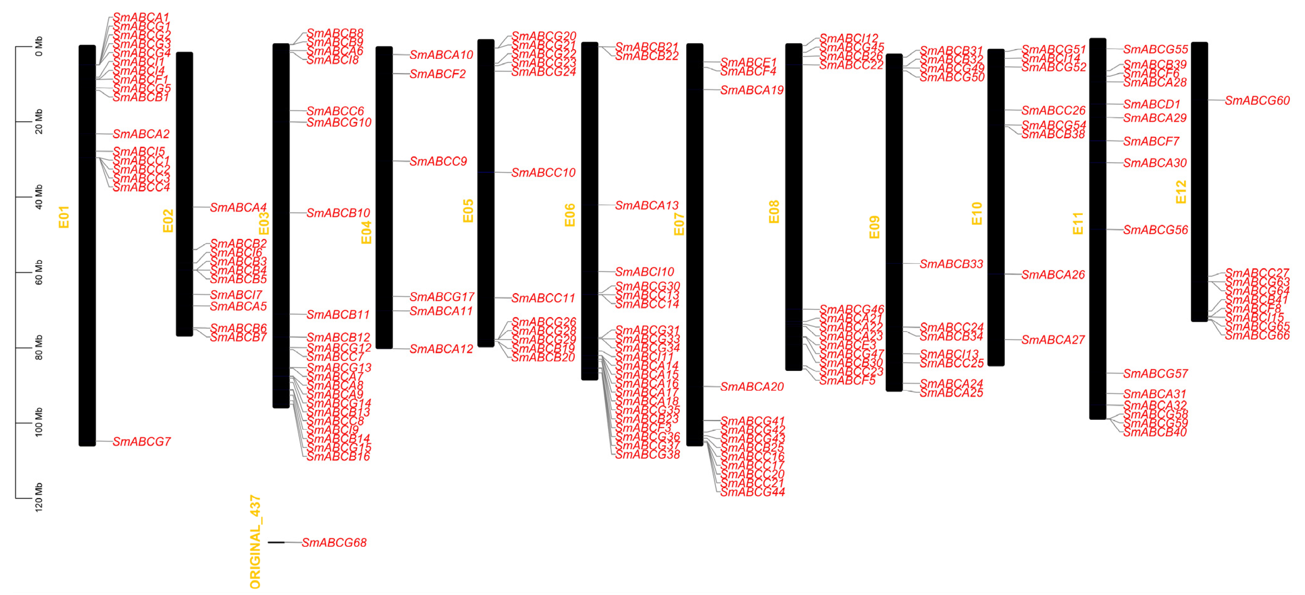 Ijms 26 07848 g002 Ijms 26 07848 g002