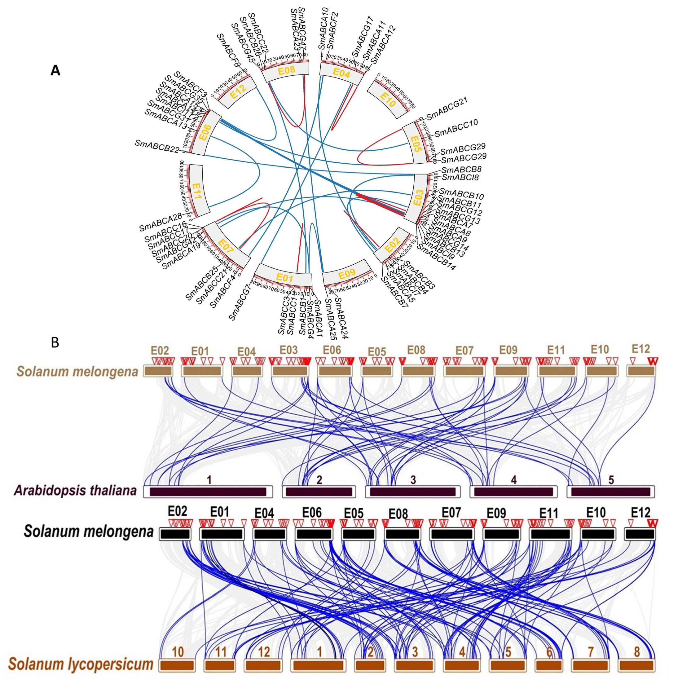 Ijms 26 07848 g003 Ijms 26 07848 g003