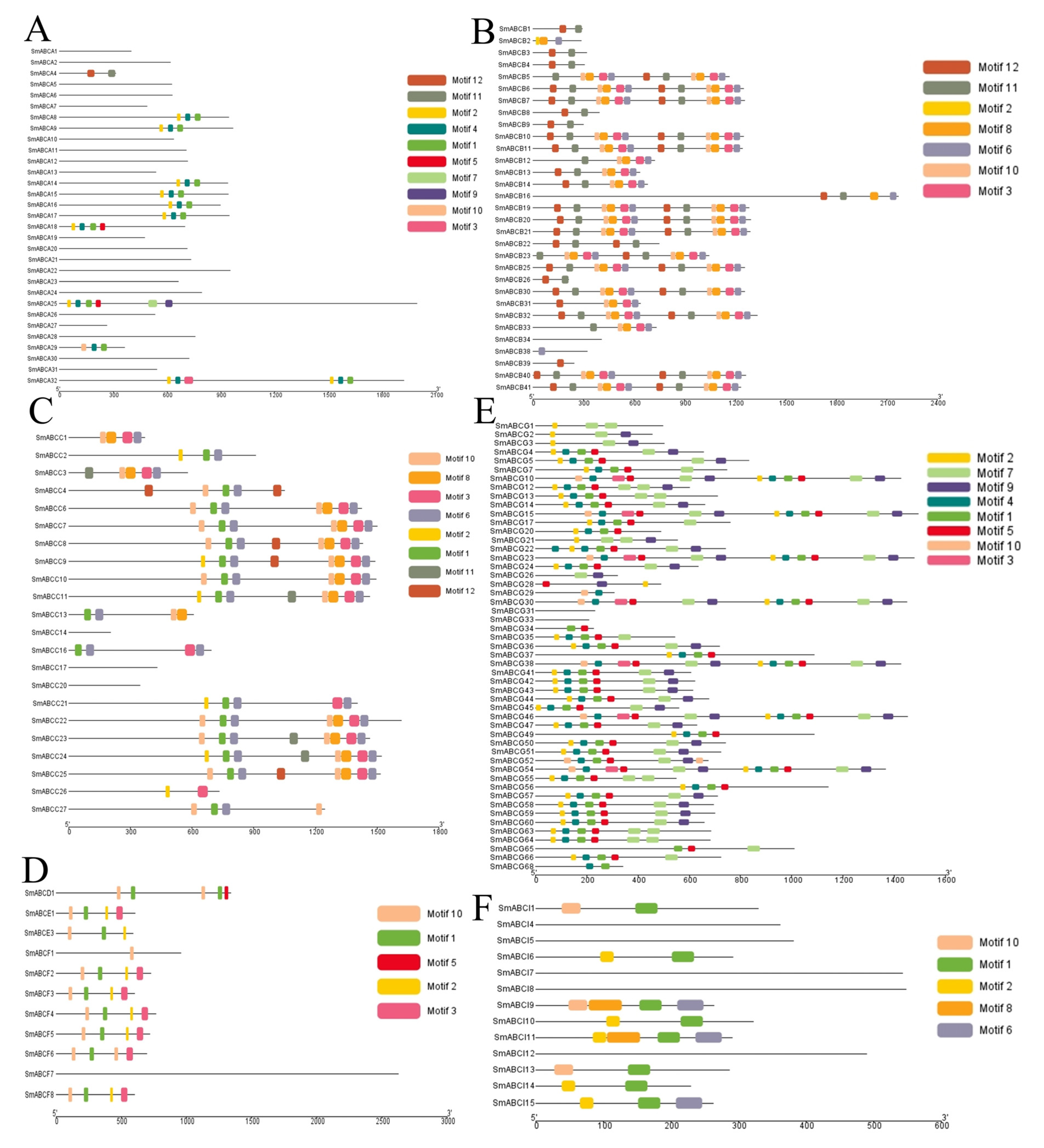 Ijms 26 07848 g004 Ijms 26 07848 g004