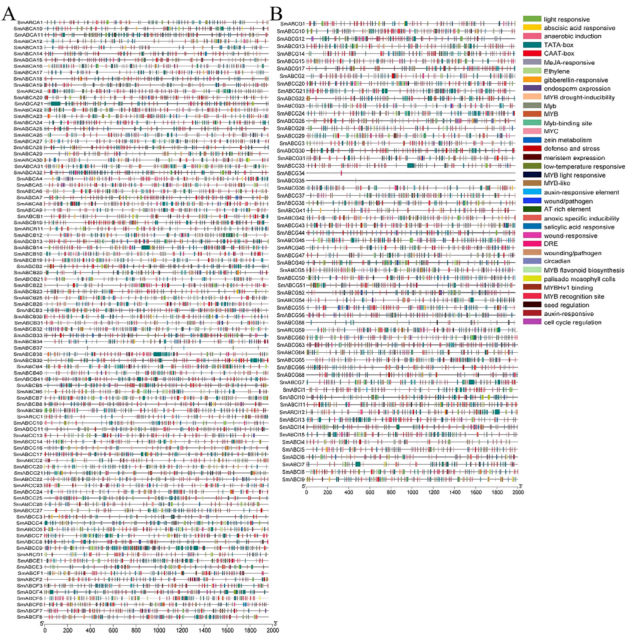 Ijms 26 07848 g005 Ijms 26 07848 g005