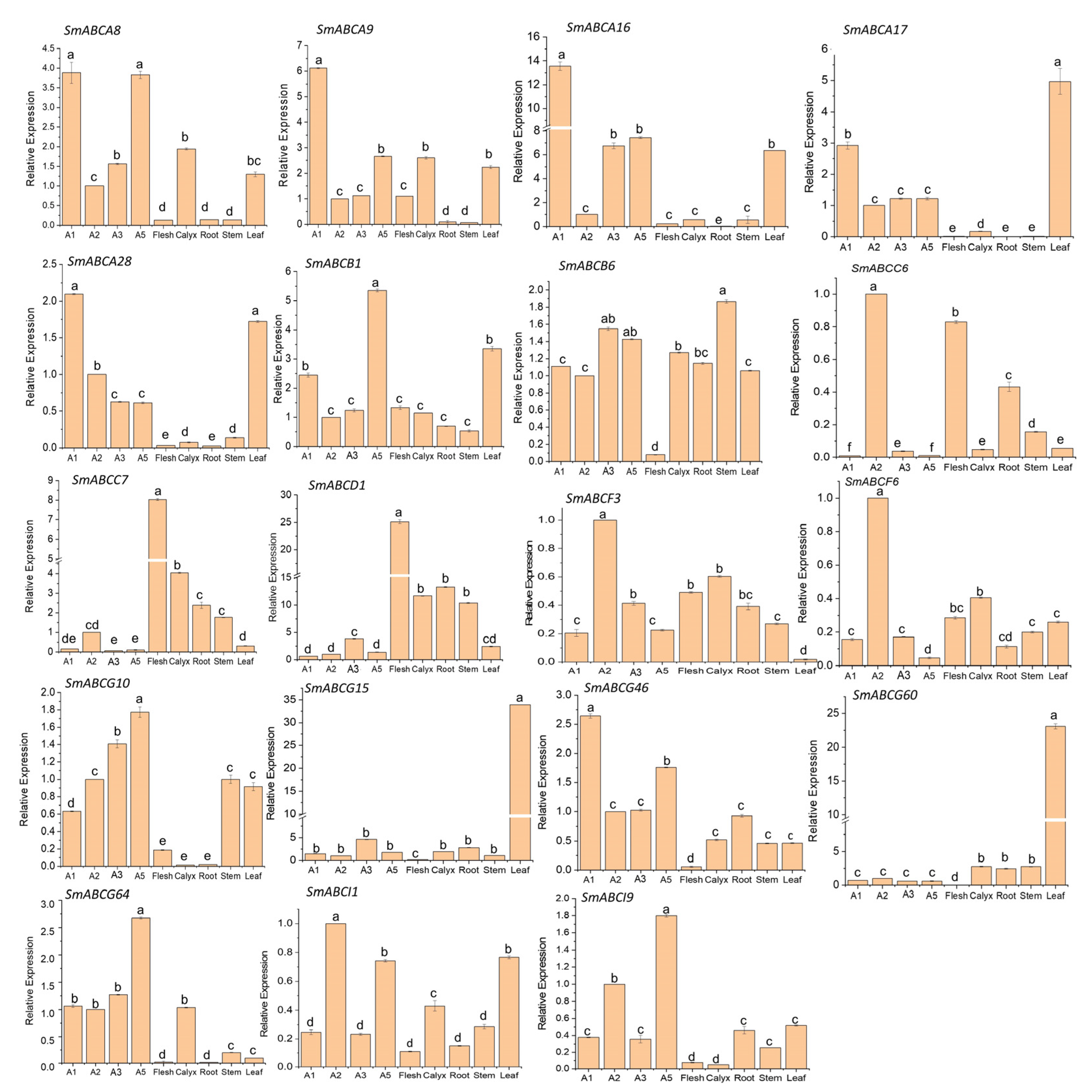 Ijms 26 07848 g007 Ijms 26 07848 g007