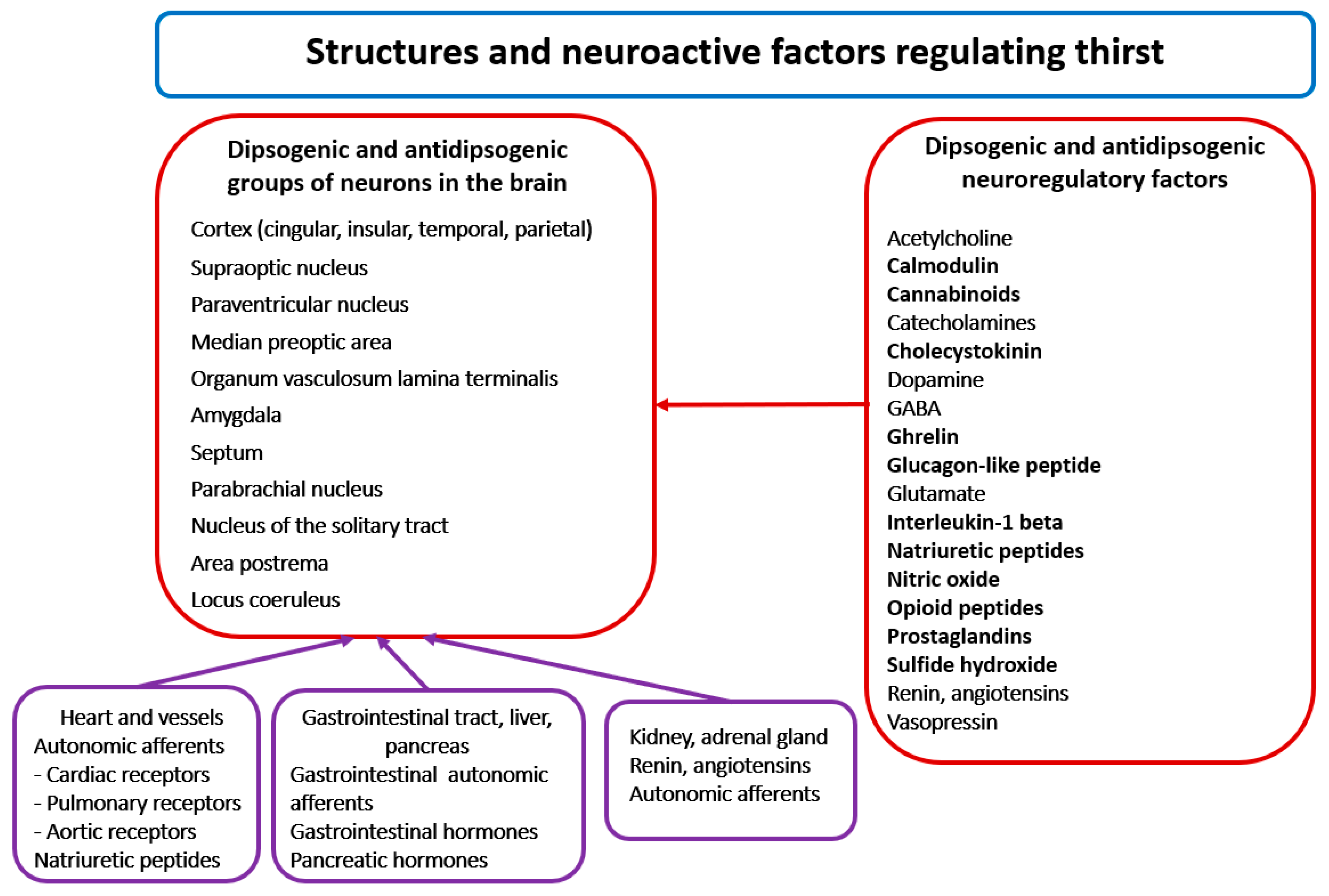 Ijms 26 07850 g002 Ijms 26 07850 g002