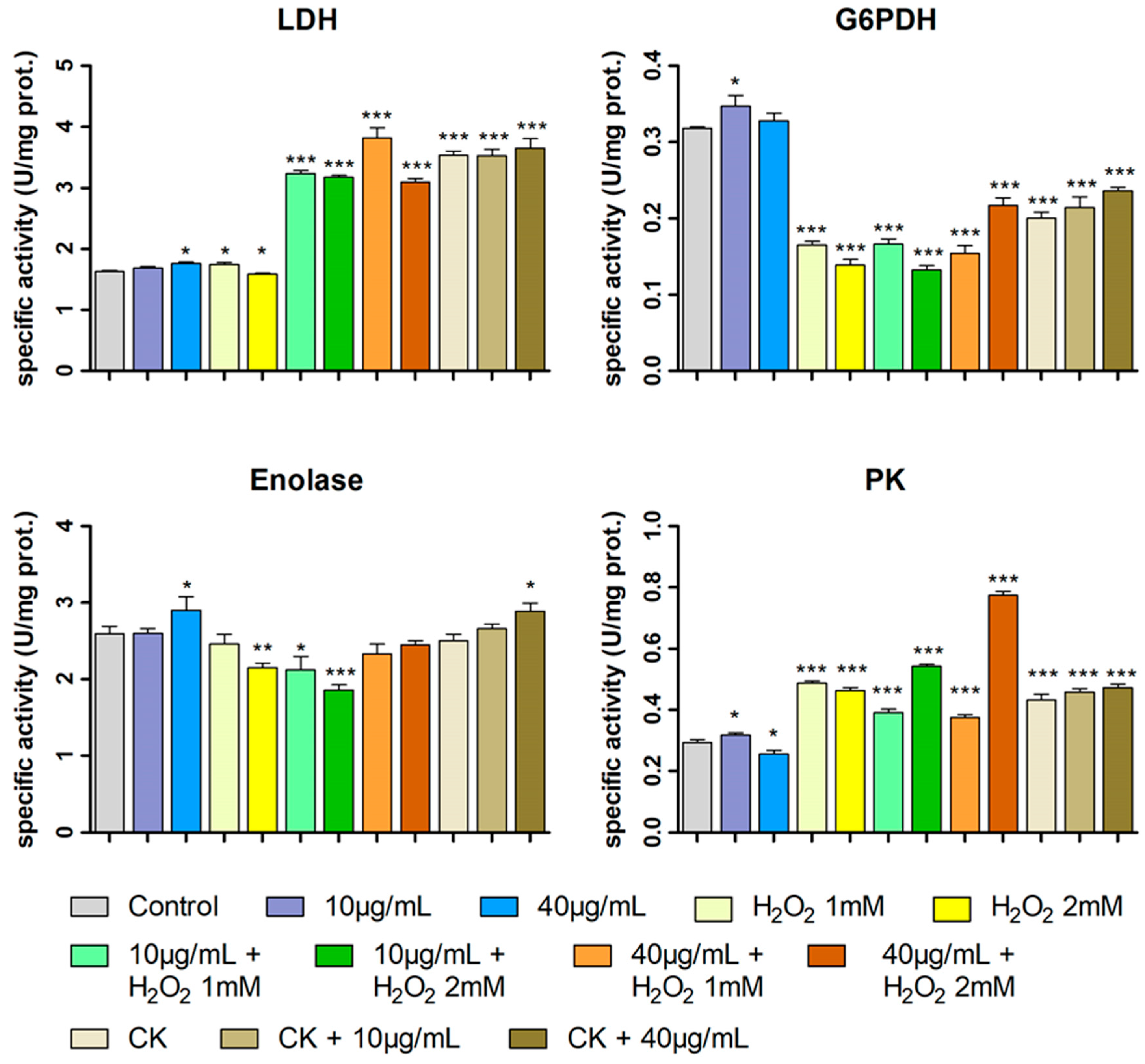 Ijms 26 07851 g007 Ijms 26 07851 g007