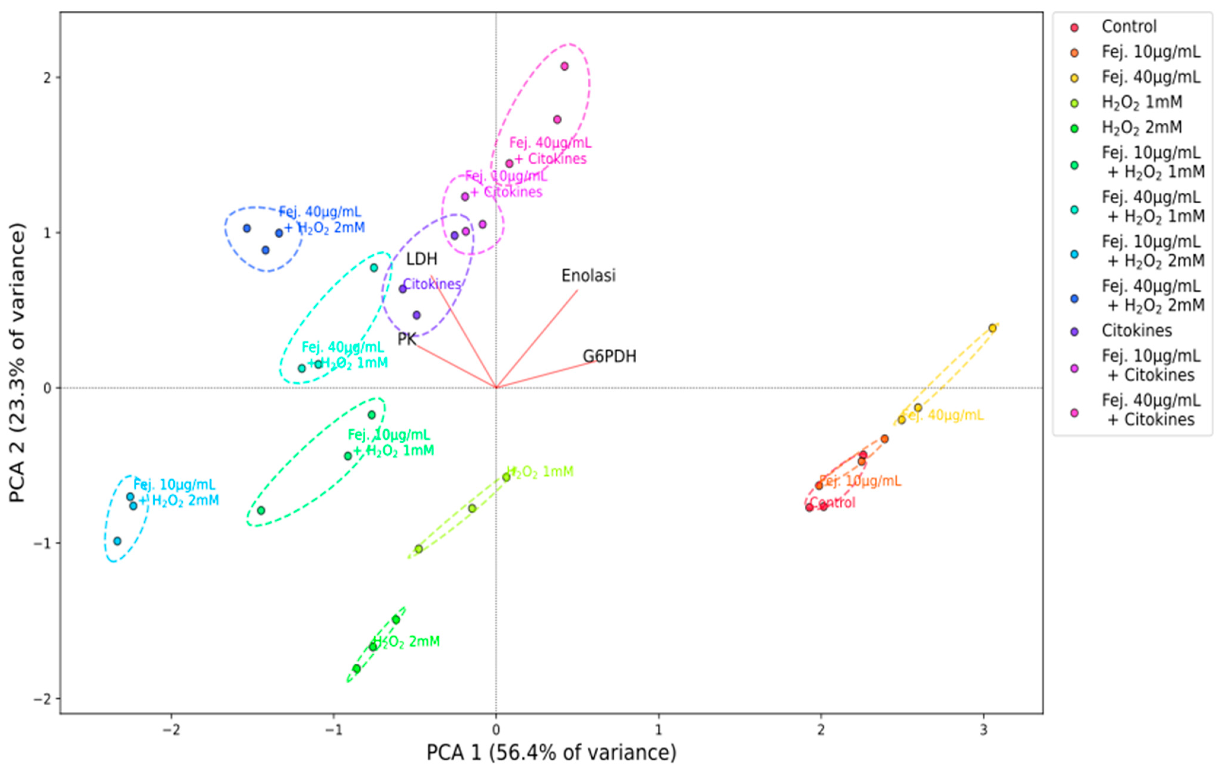 Ijms 26 07851 g008 Ijms 26 07851 g008