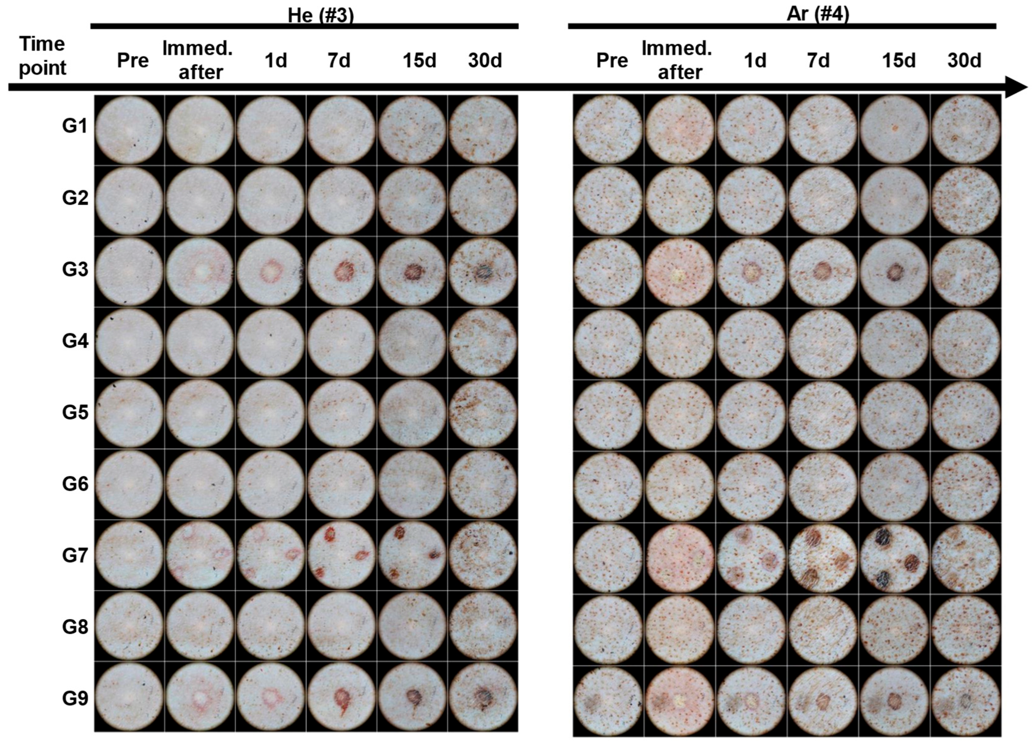 Ijms 26 07854 g003 Ijms 26 07854 g003