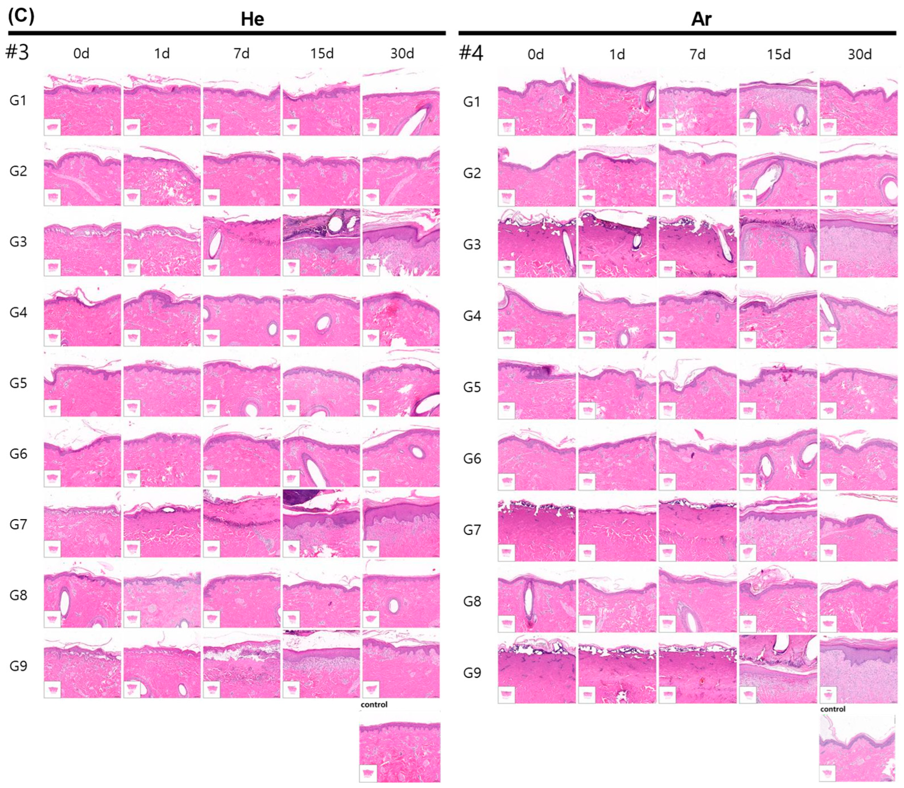 Ijms 26 07854 g005b Ijms 26 07854 g005b