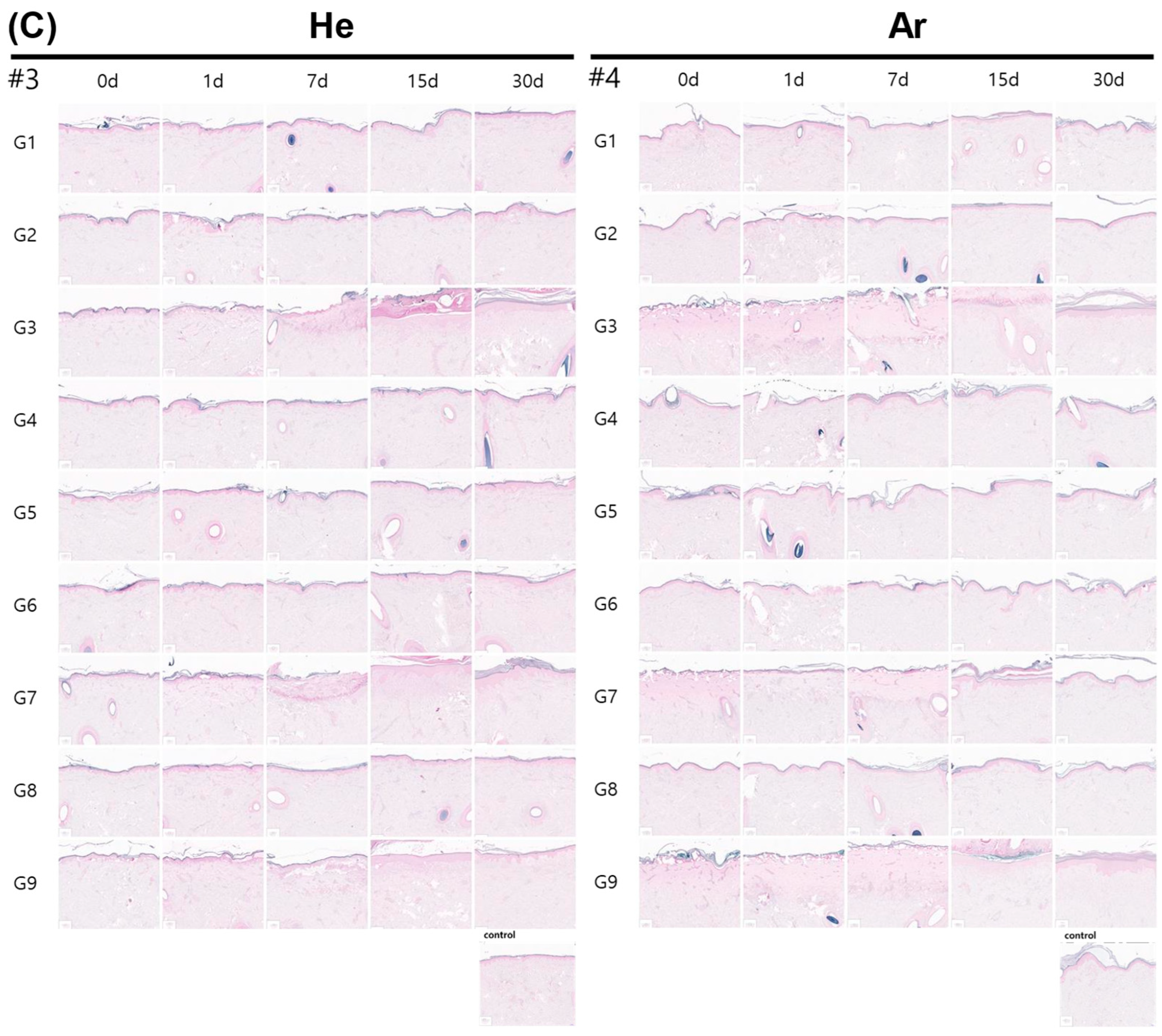 Ijms 26 07854 g007b Ijms 26 07854 g007b
