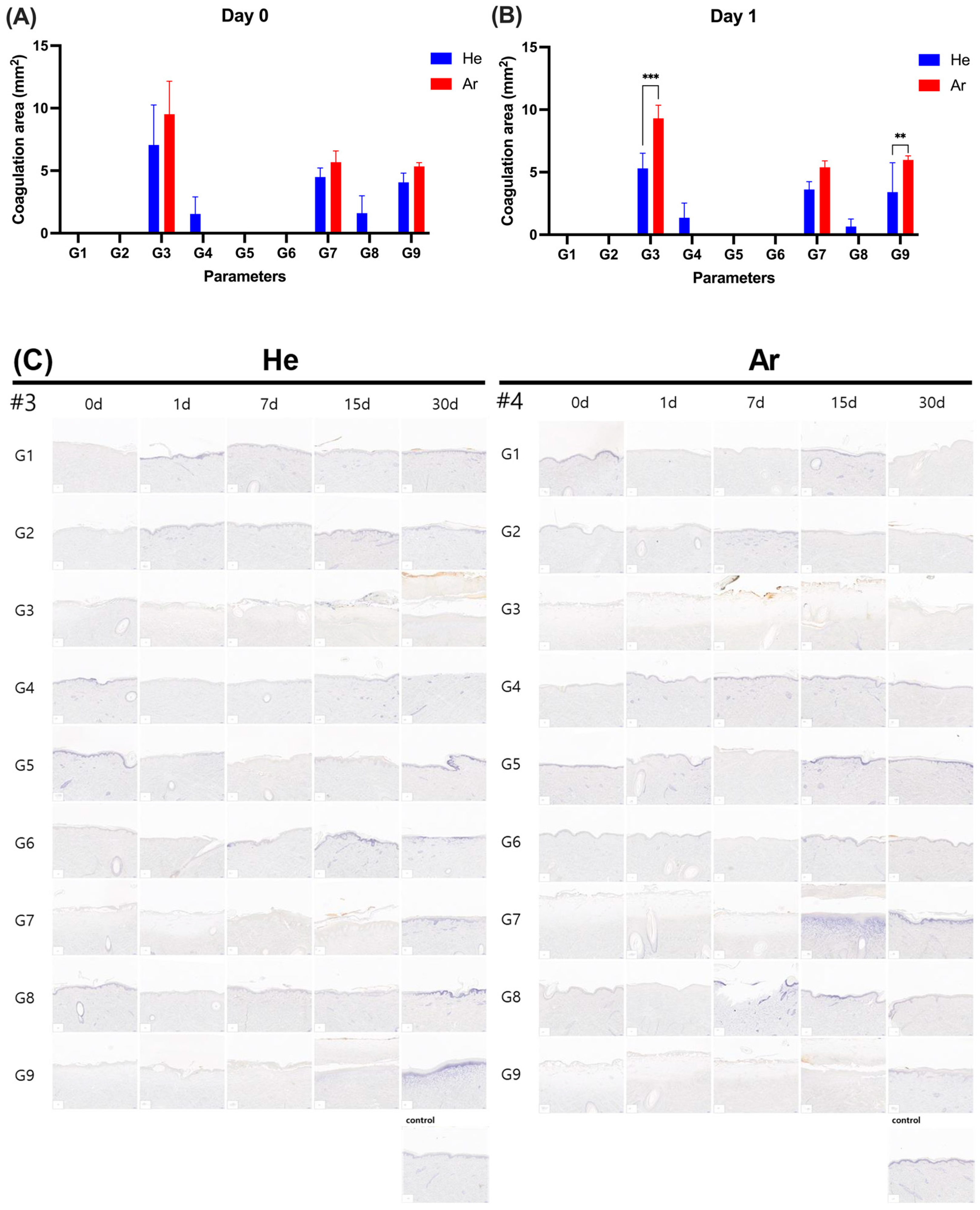 Ijms 26 07854 g008 Ijms 26 07854 g008