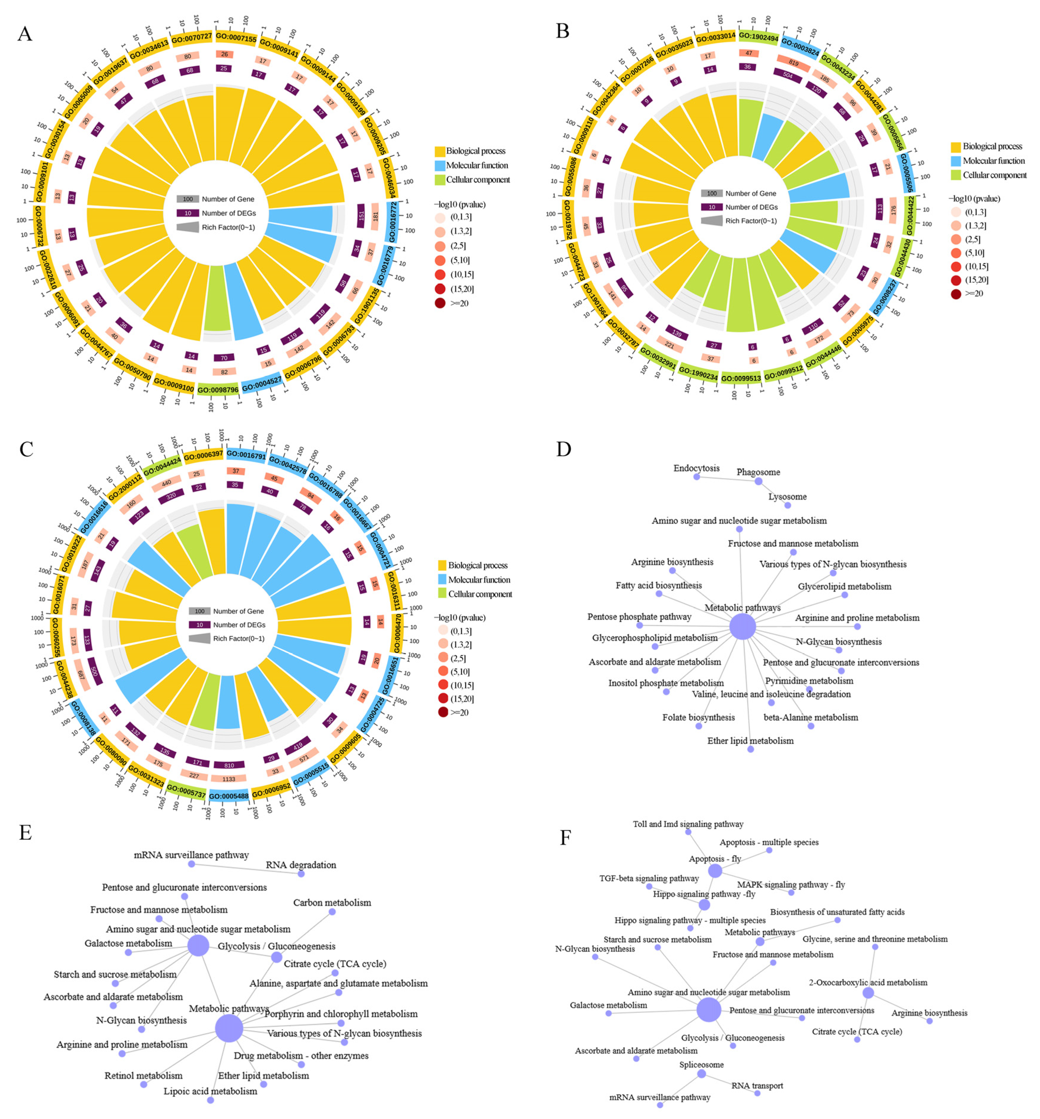Ijms 26 07859 g006 Ijms 26 07859 g006