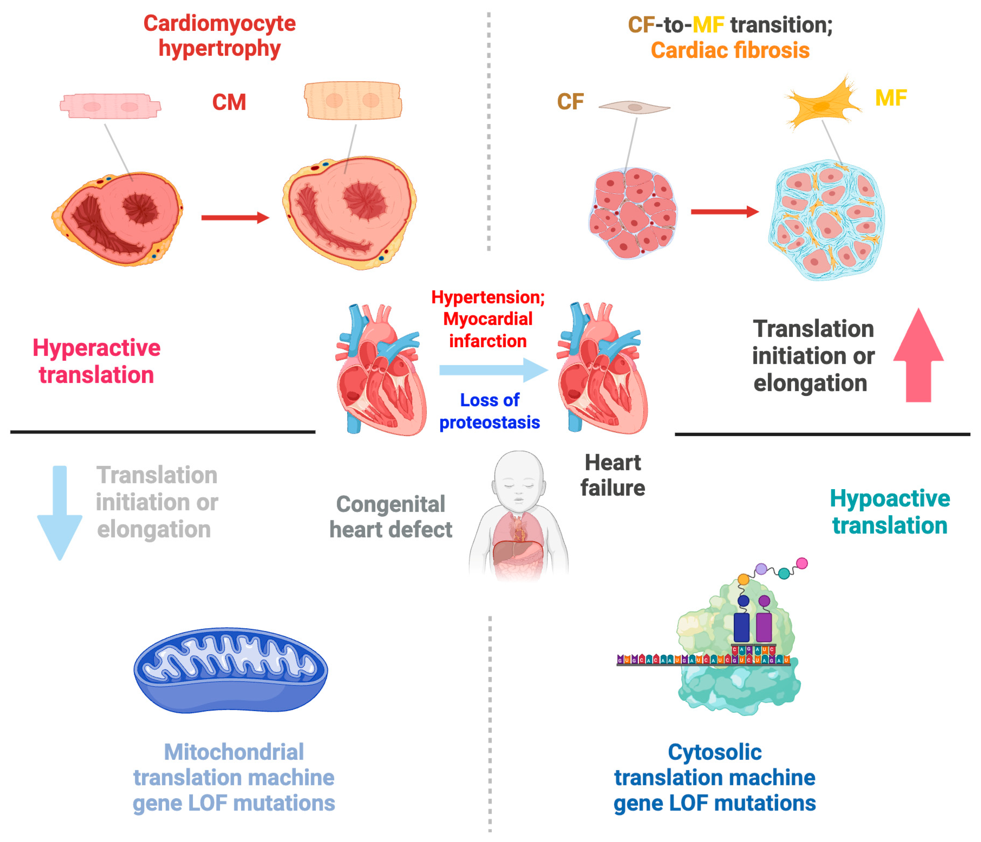Ijms 26 07863 g010 Ijms 26 07863 g010