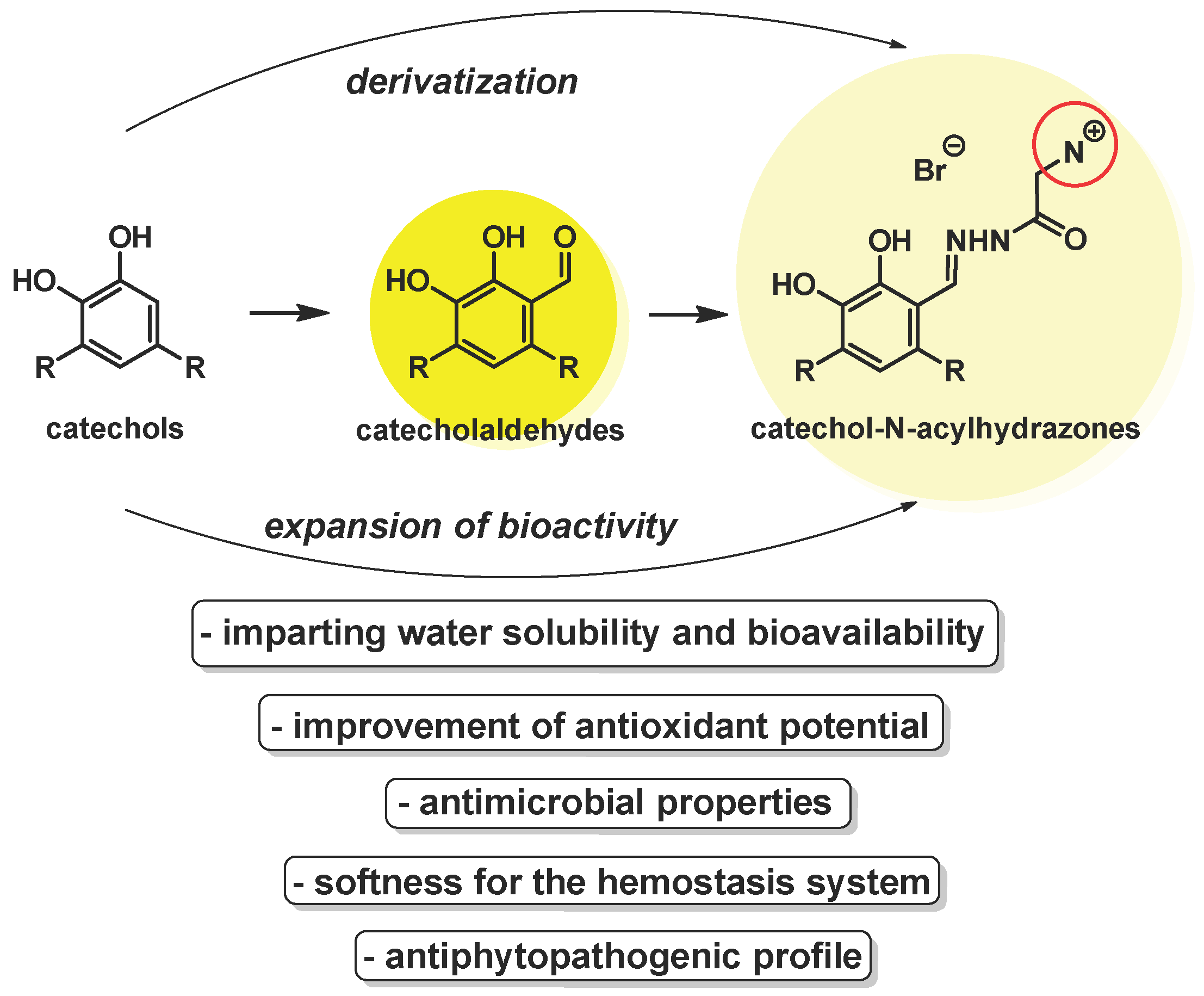 Ijms 26 07866 g004 Ijms 26 07866 g004