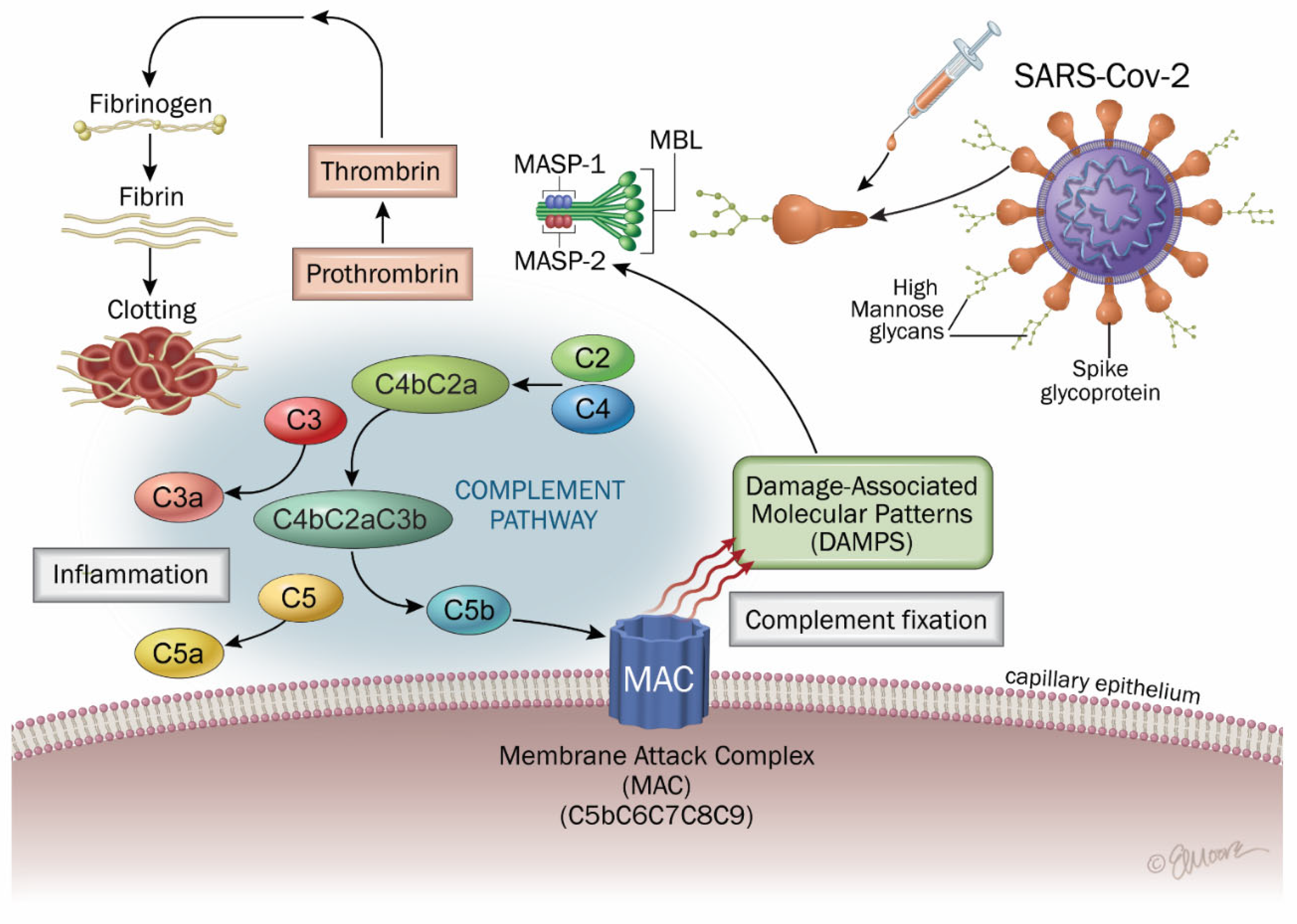 Ijms 26 07879 g004 Ijms 26 07879 g004