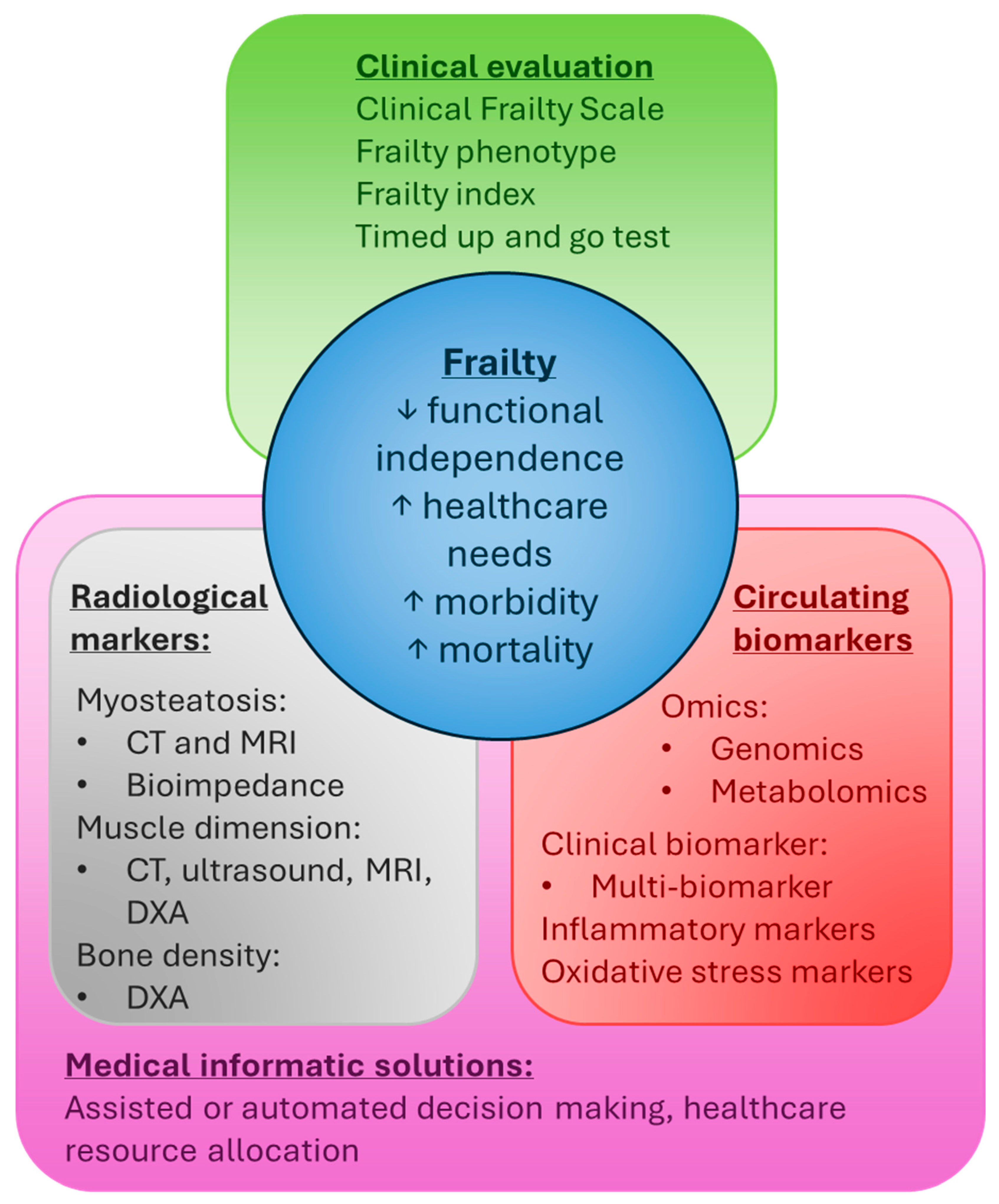 Ijms 26 07888 g002 Ijms 26 07888 g002