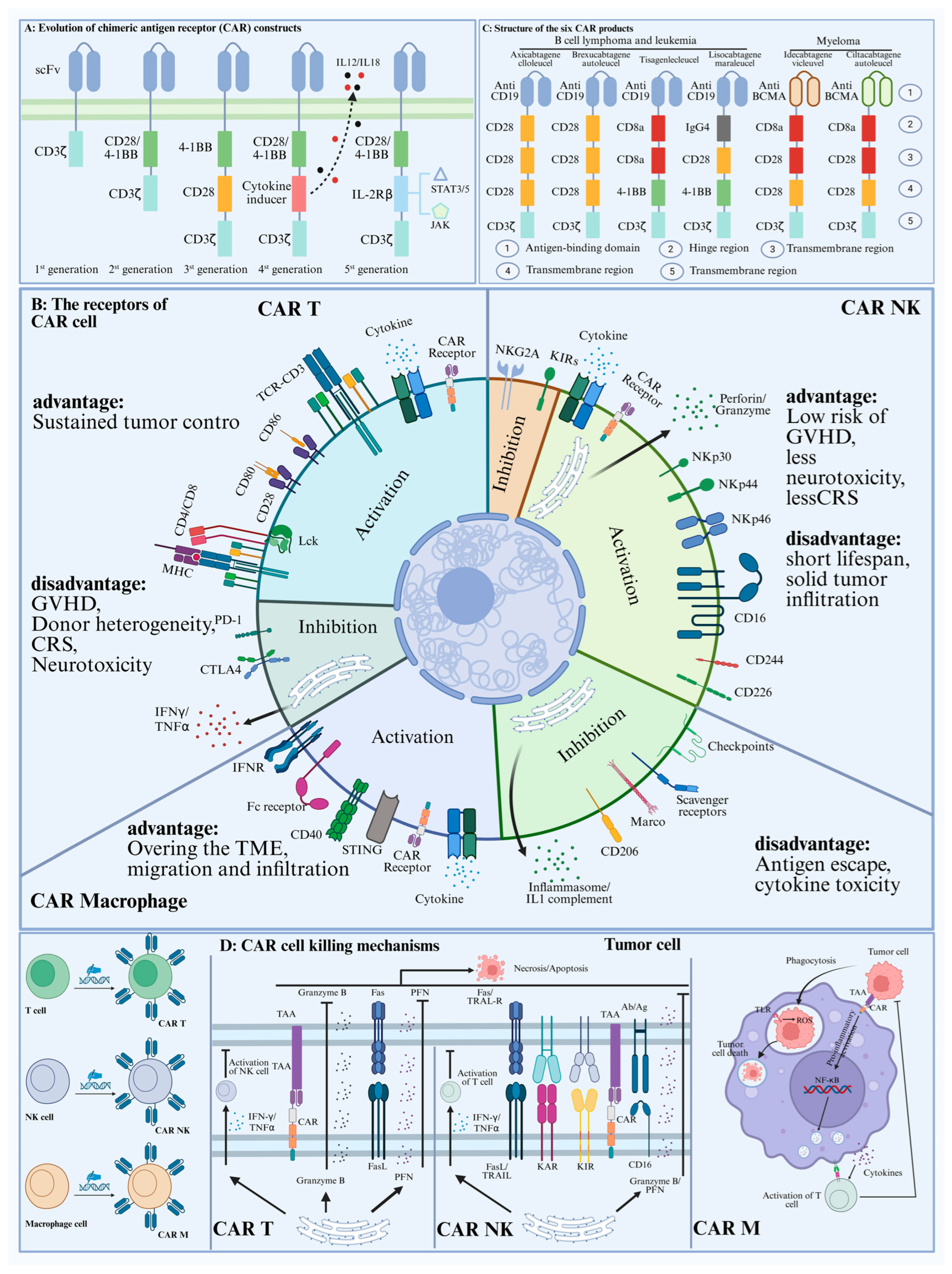 Ijms 26 07890 g001 Ijms 26 07890 g001