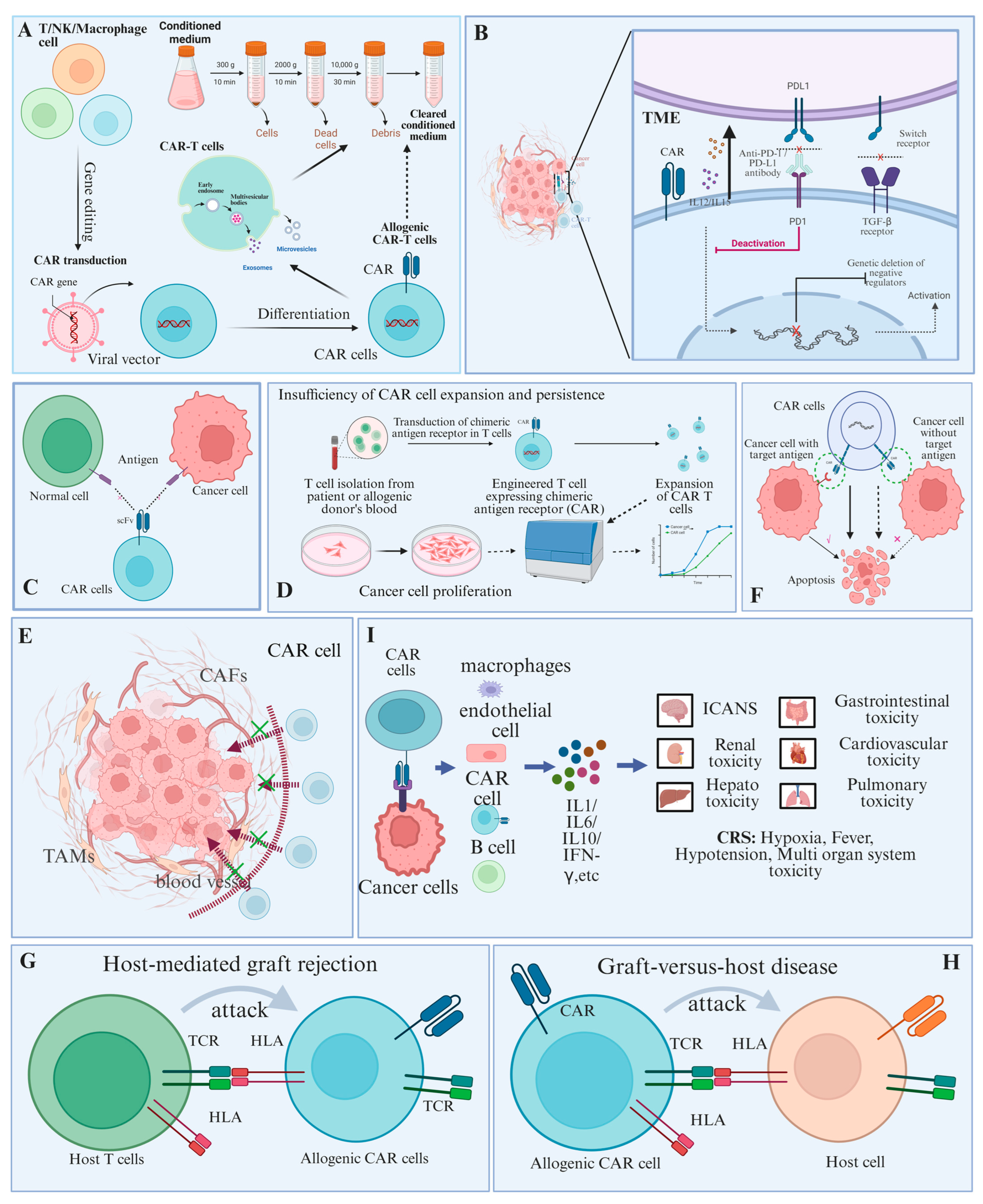 Ijms 26 07890 g002 Ijms 26 07890 g002