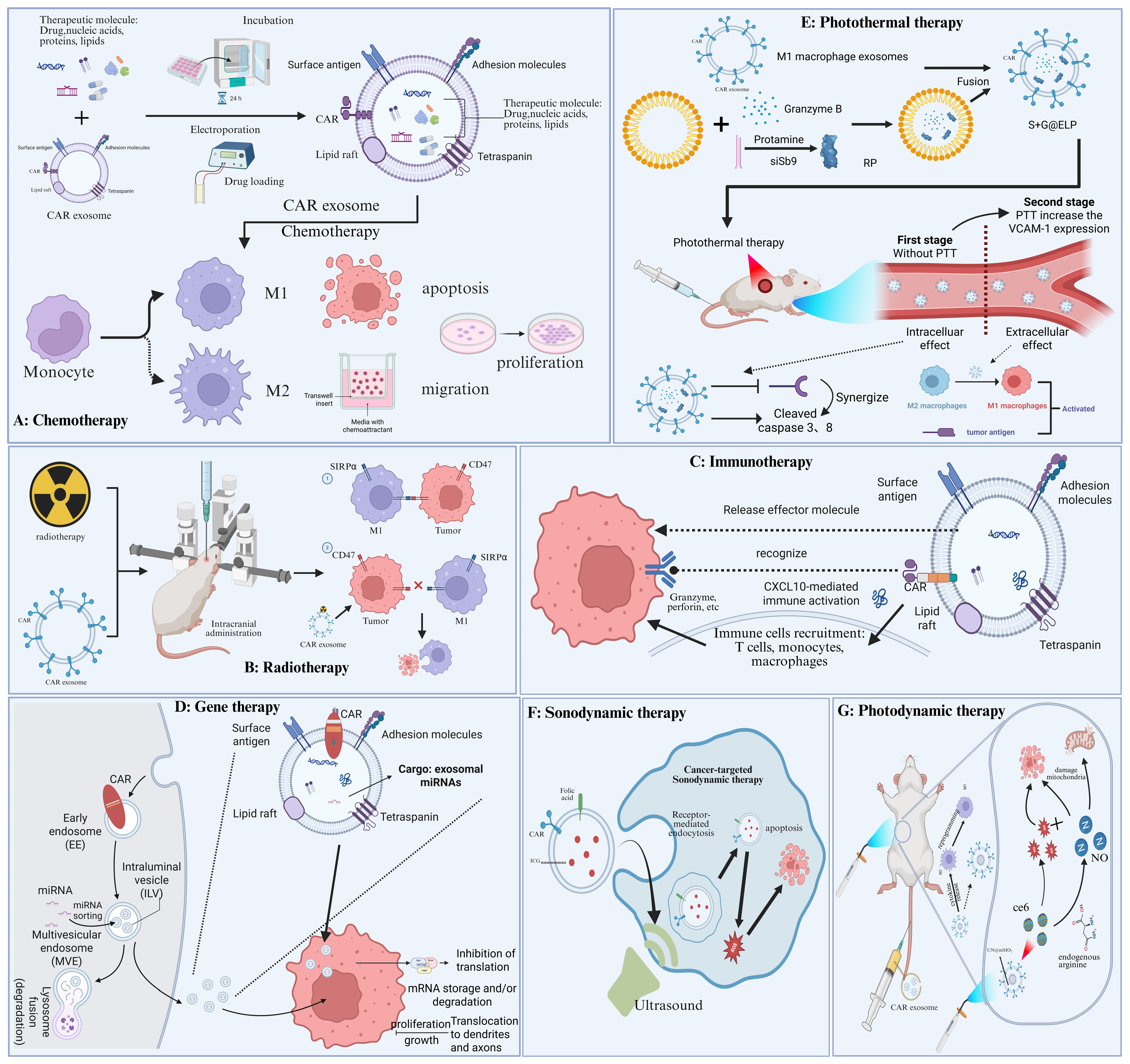Ijms 26 07890 g004 Ijms 26 07890 g004