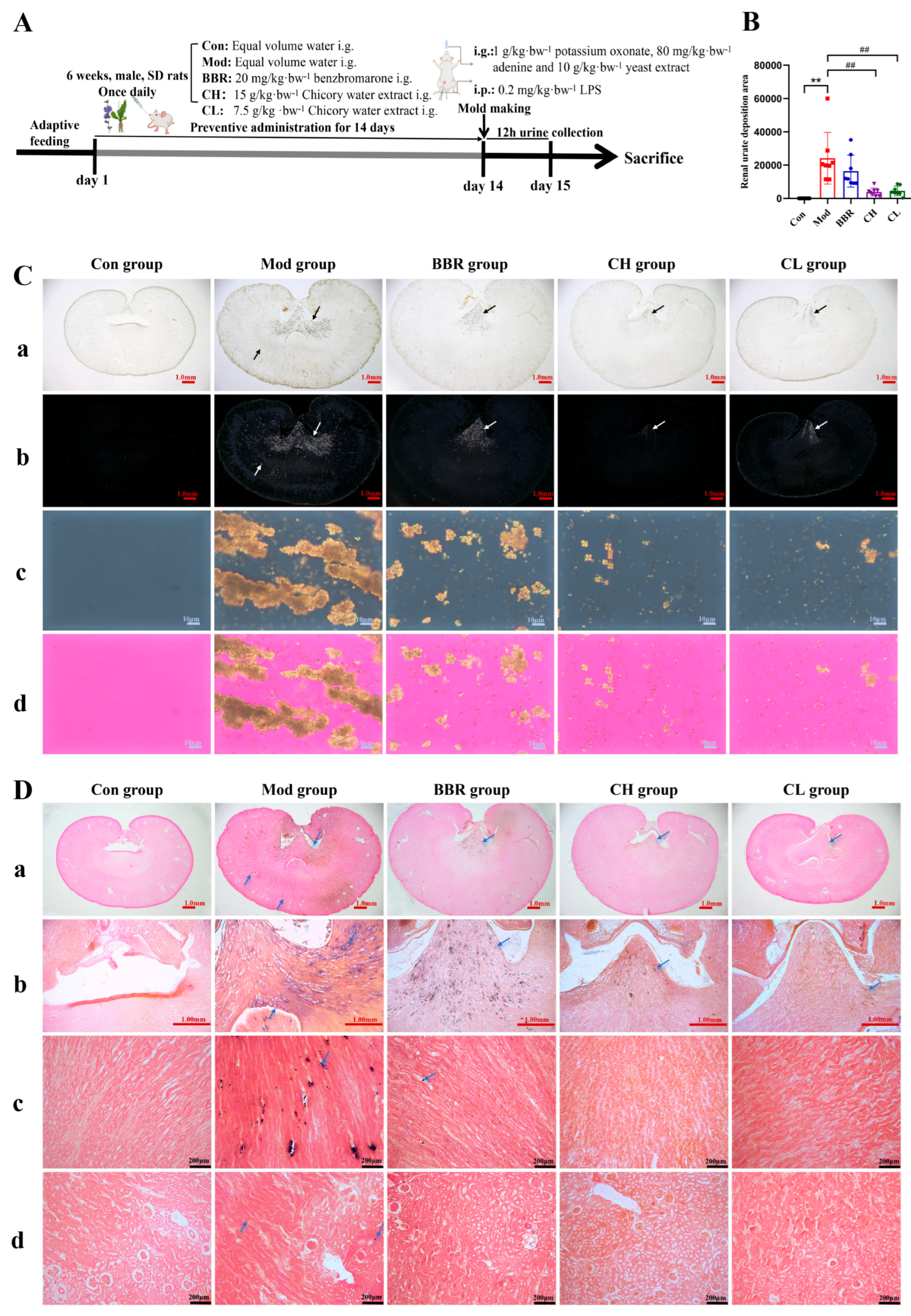 Ijms 26 07892 g001 Ijms 26 07892 g001