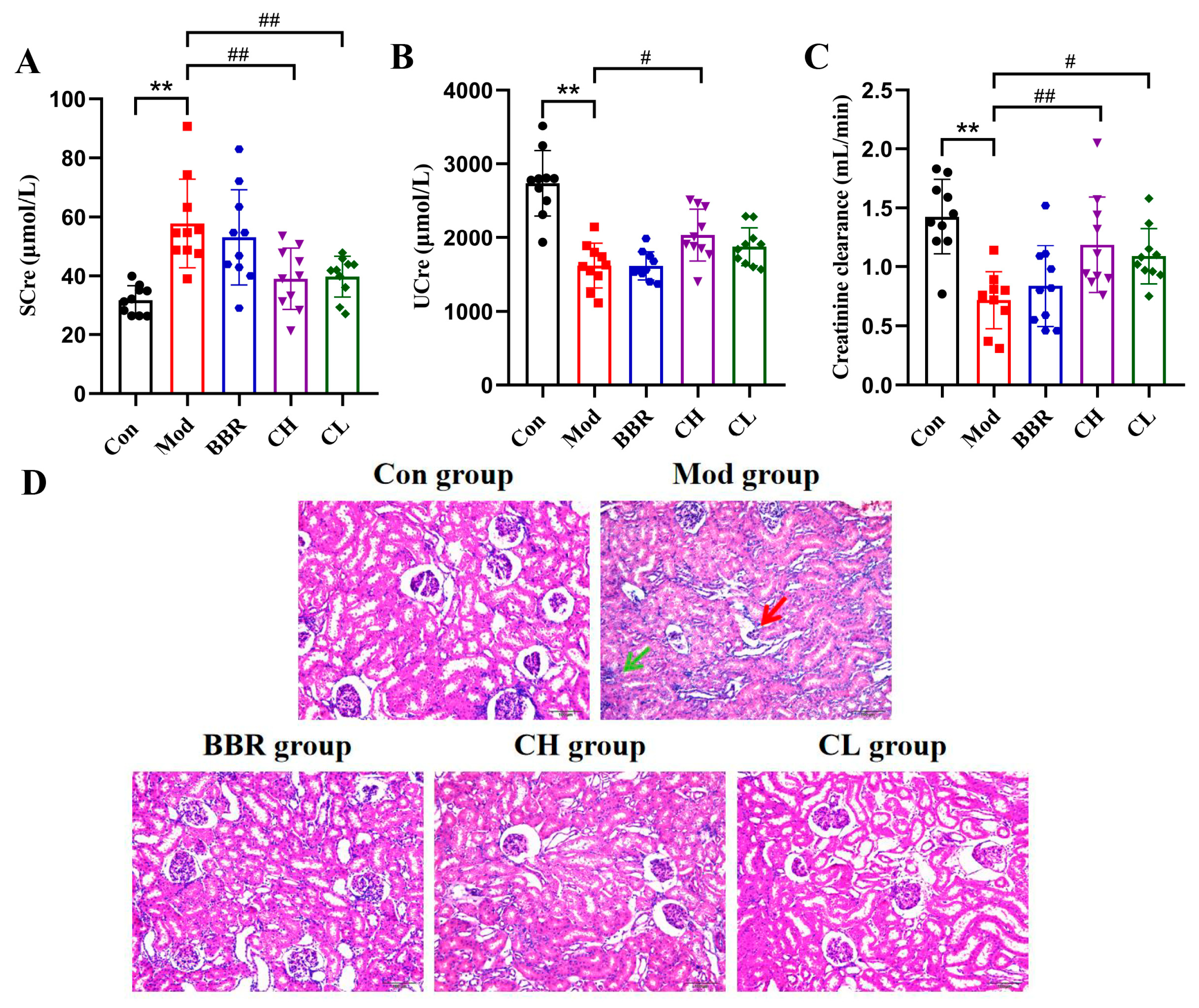 Ijms 26 07892 g002 Ijms 26 07892 g002