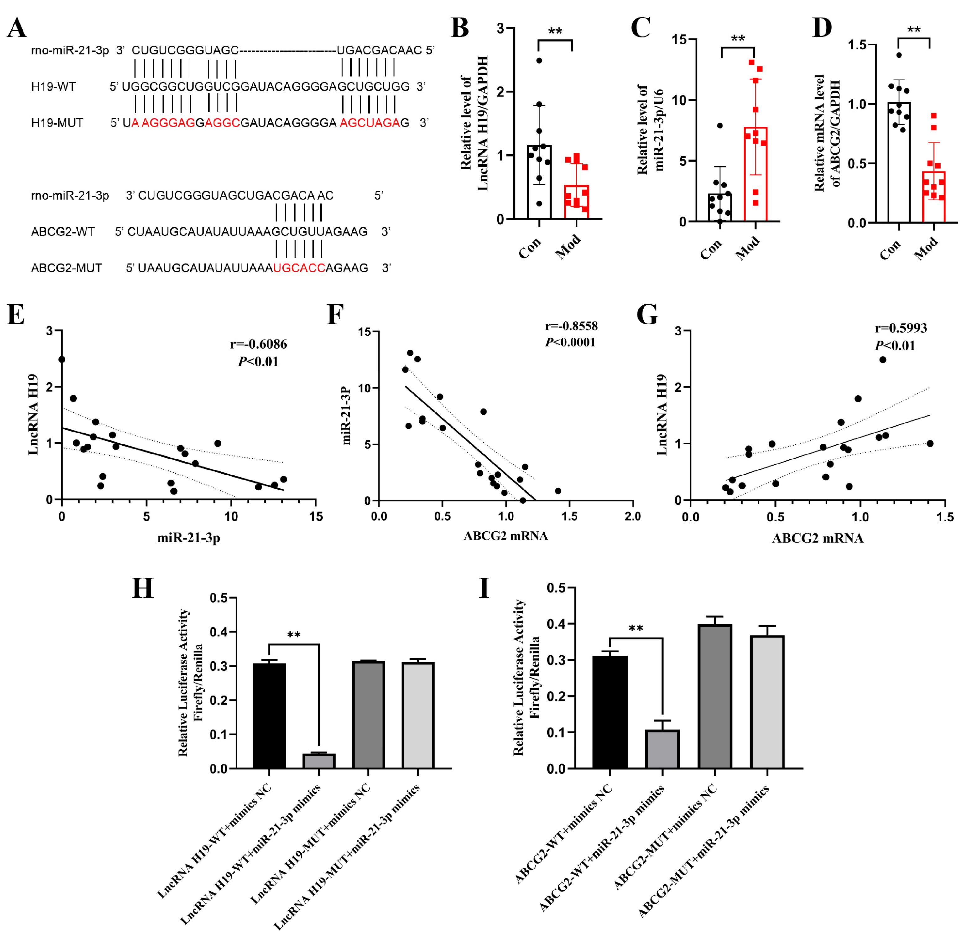 Ijms 26 07892 g004 Ijms 26 07892 g004