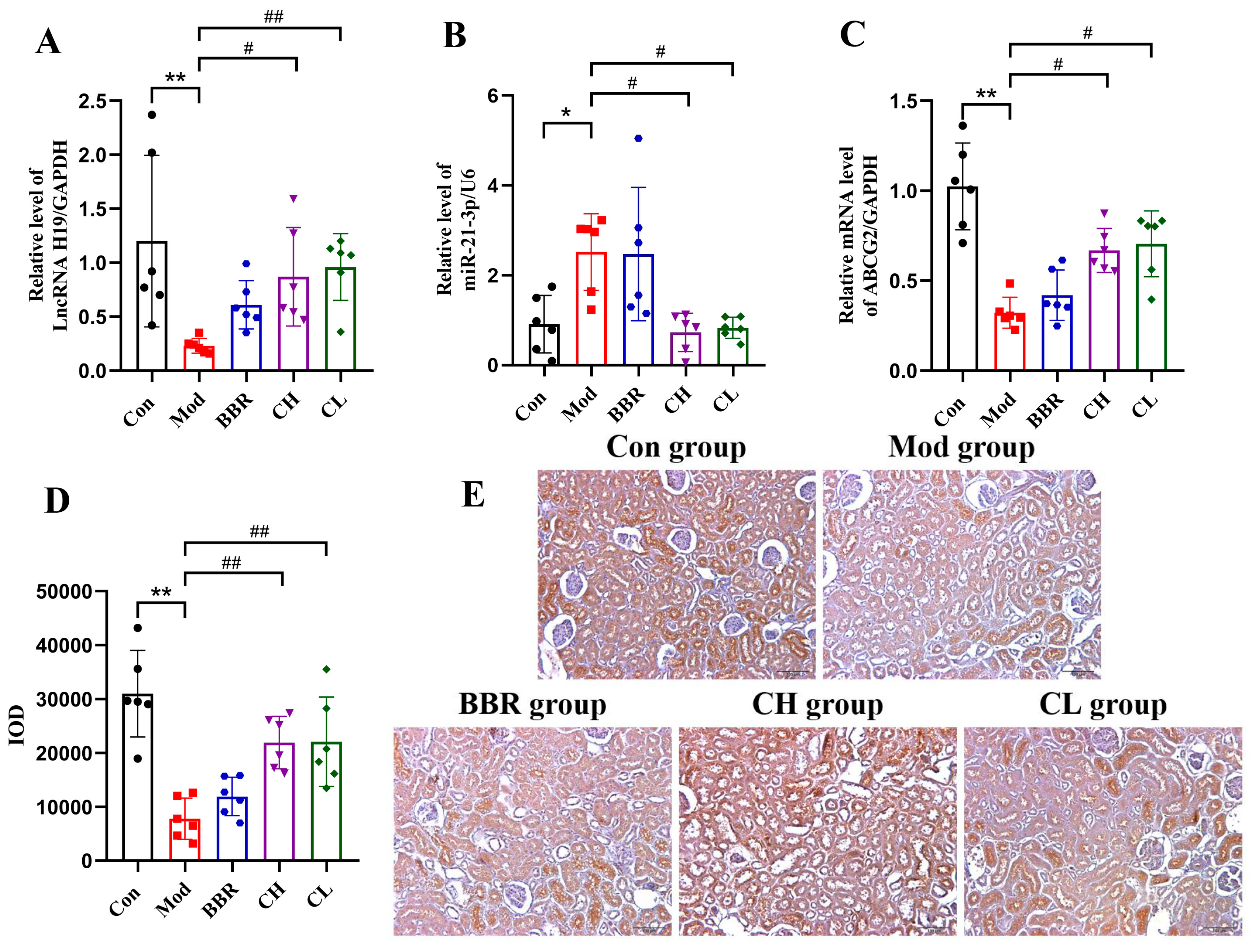 Ijms 26 07892 g005 Ijms 26 07892 g005