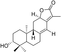 Ijms 26 07904 i002 Ijms 26 07904 i002