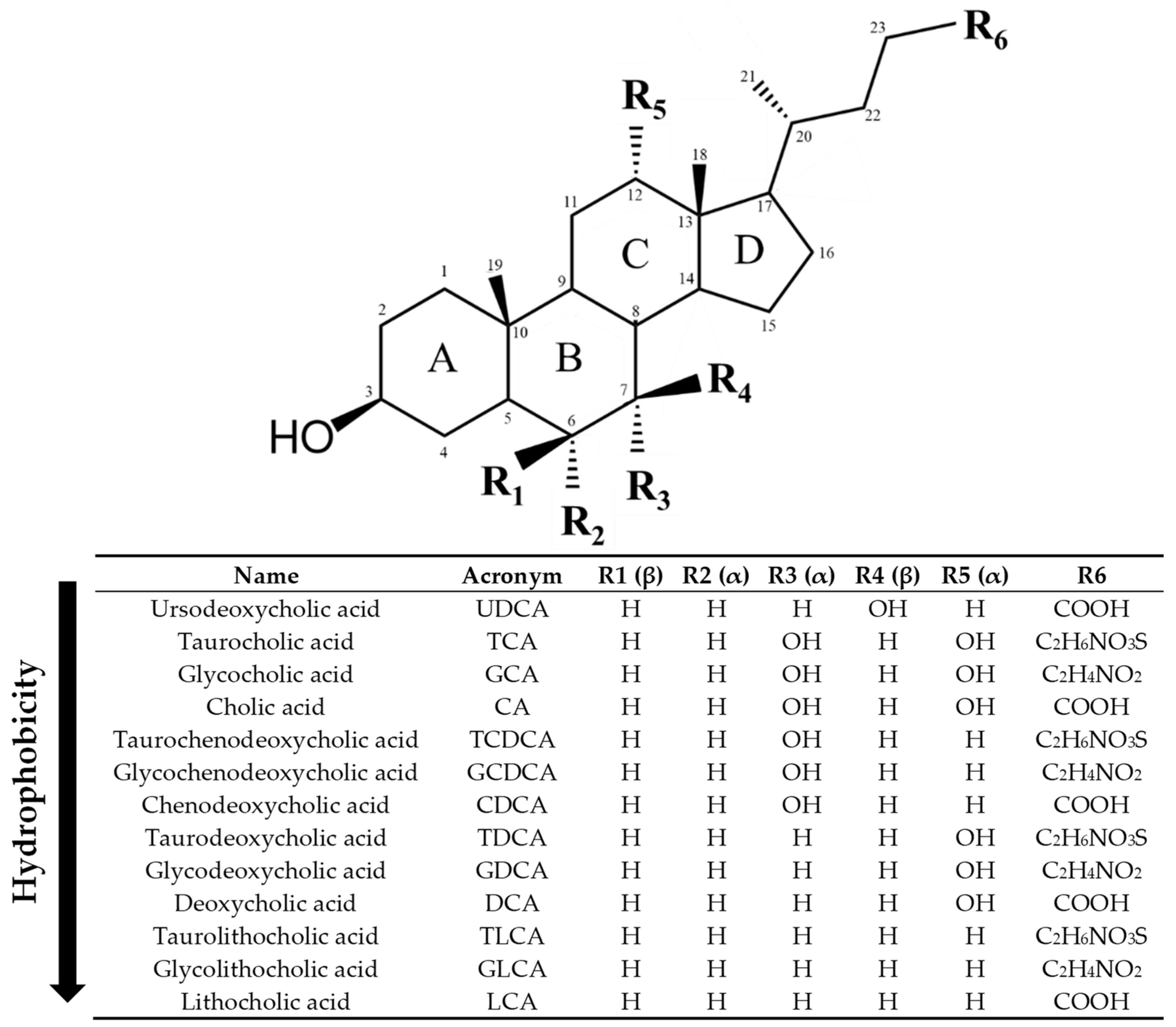 Ijms 26 07905 g002 Ijms 26 07905 g002