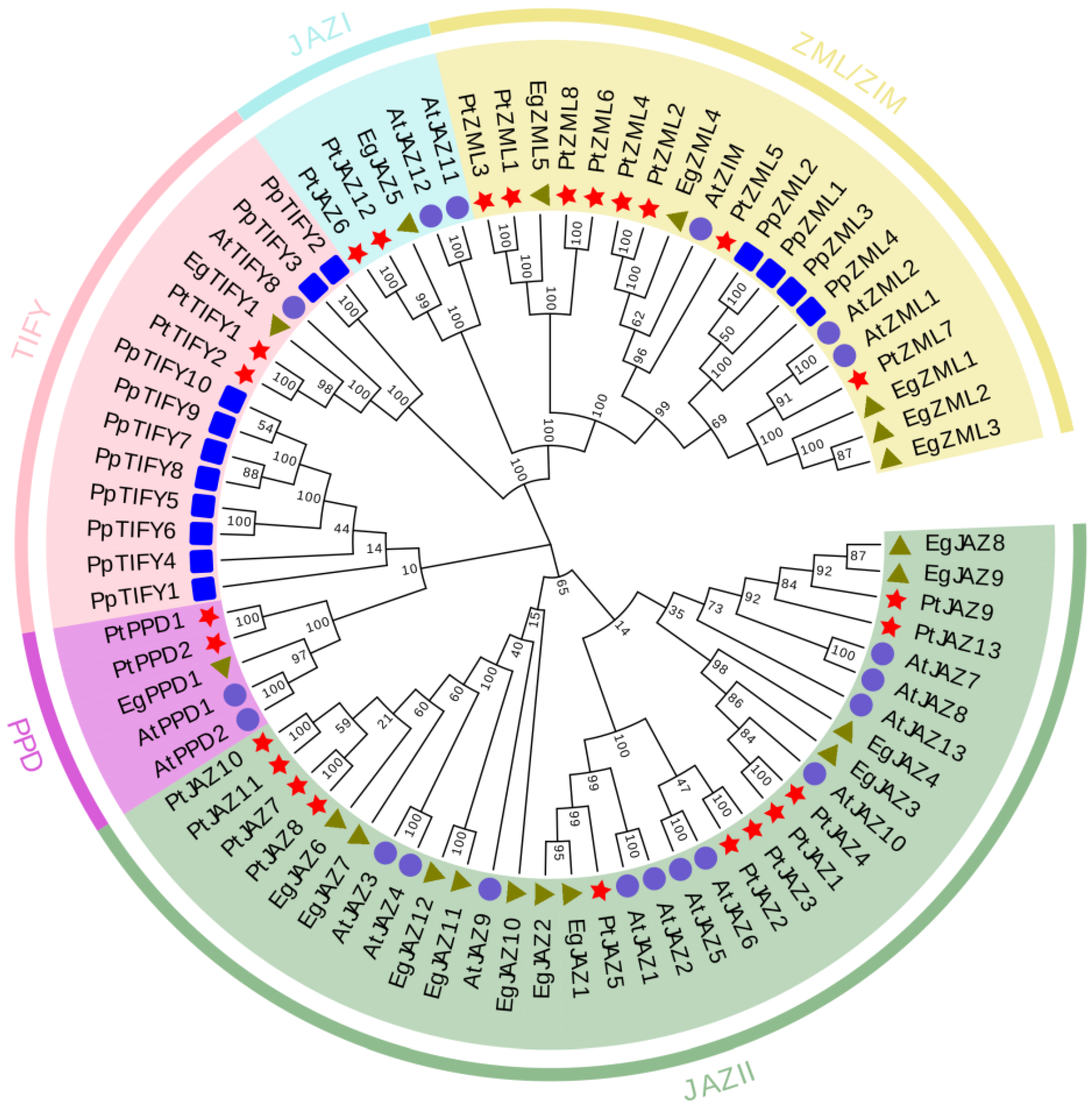 Ijms 26 07914 g001 Ijms 26 07914 g001