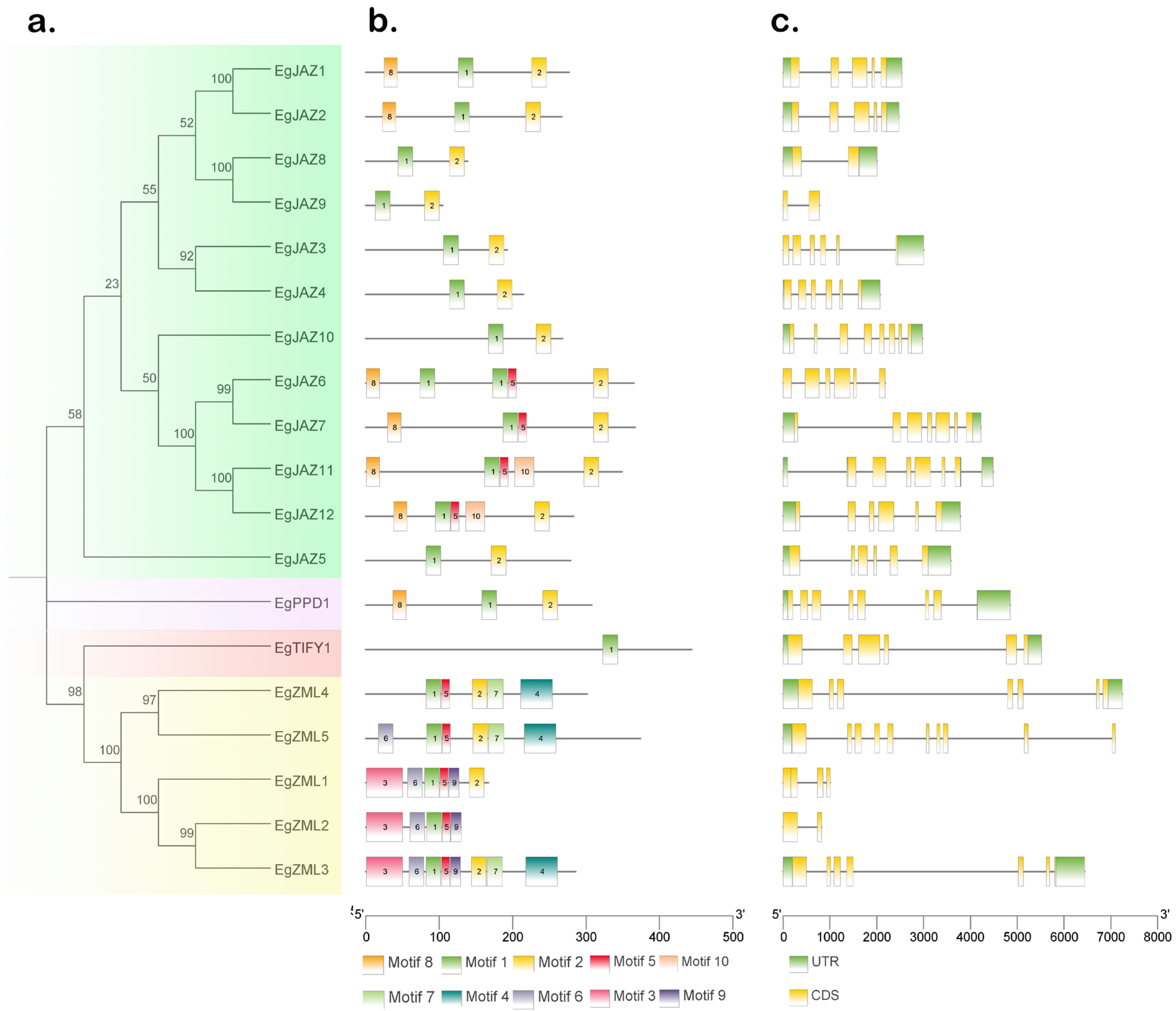 Ijms 26 07914 g002 Ijms 26 07914 g002