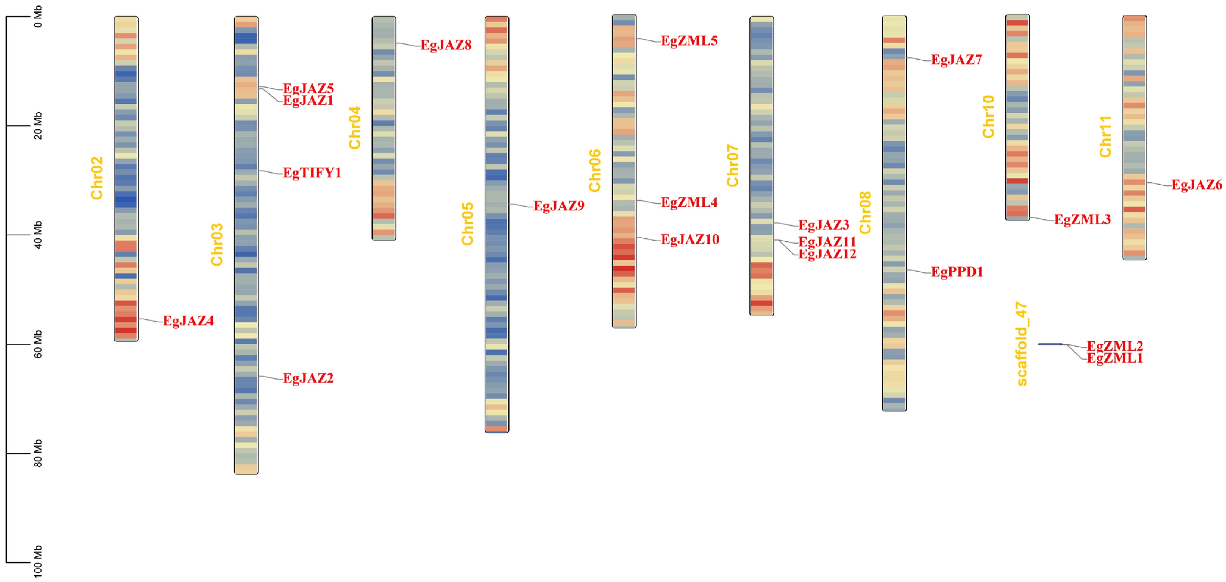 Ijms 26 07914 g003 Ijms 26 07914 g003