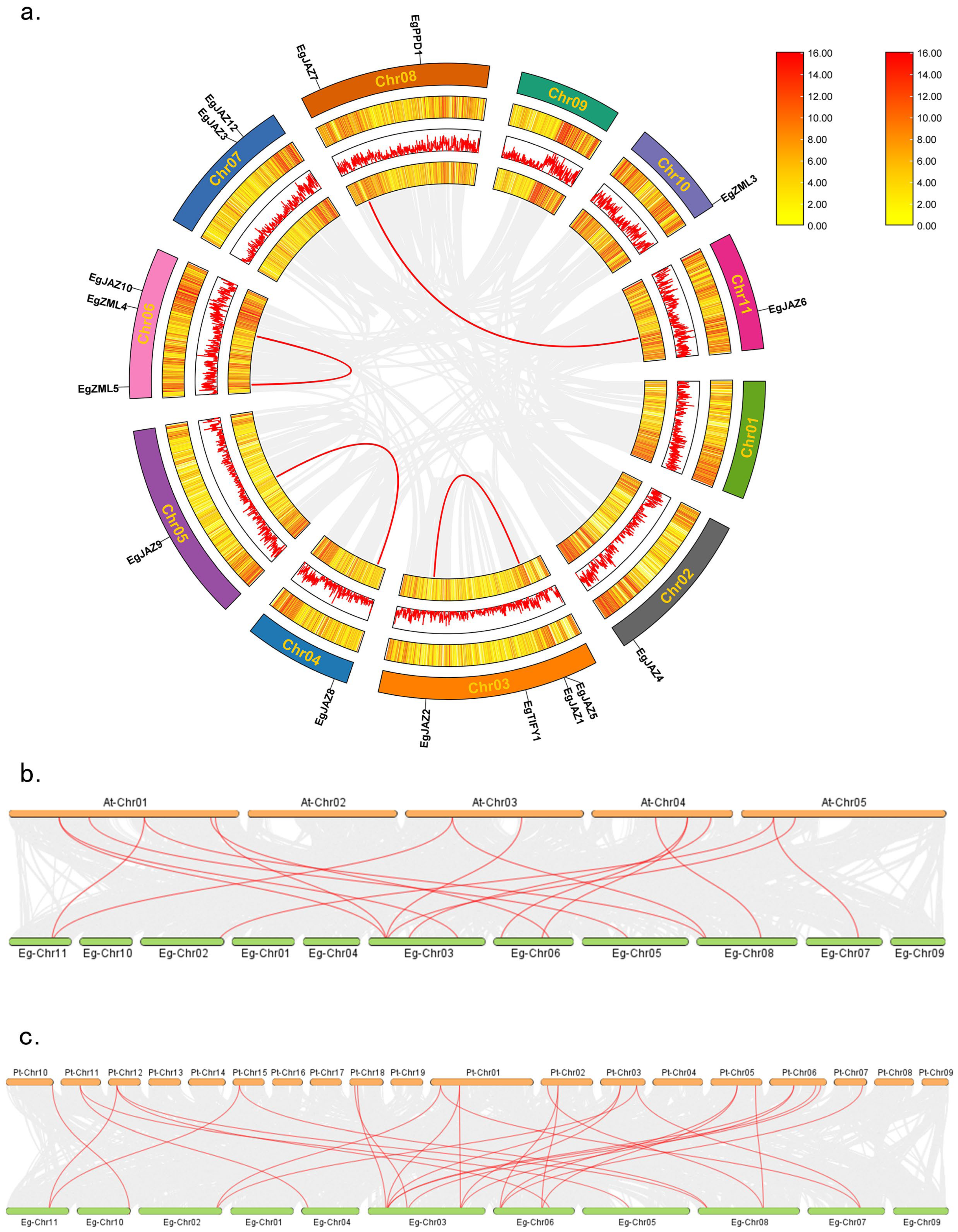Ijms 26 07914 g004 Ijms 26 07914 g004
