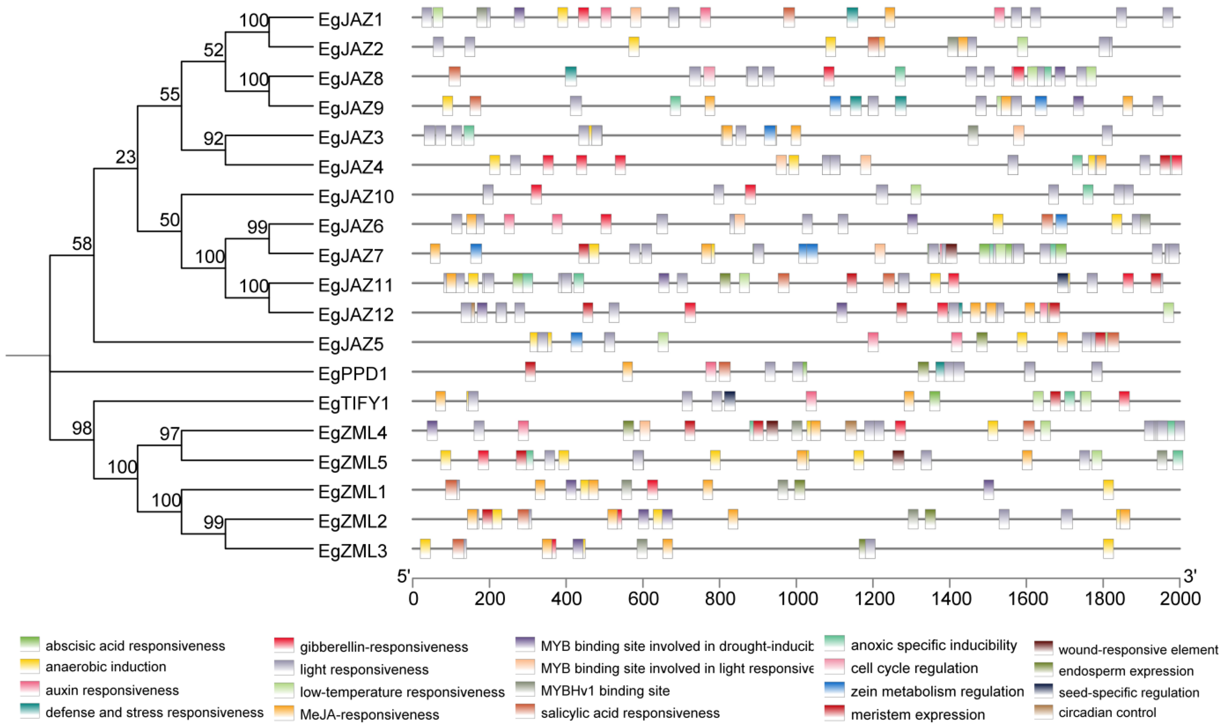 Ijms 26 07914 g005 Ijms 26 07914 g005