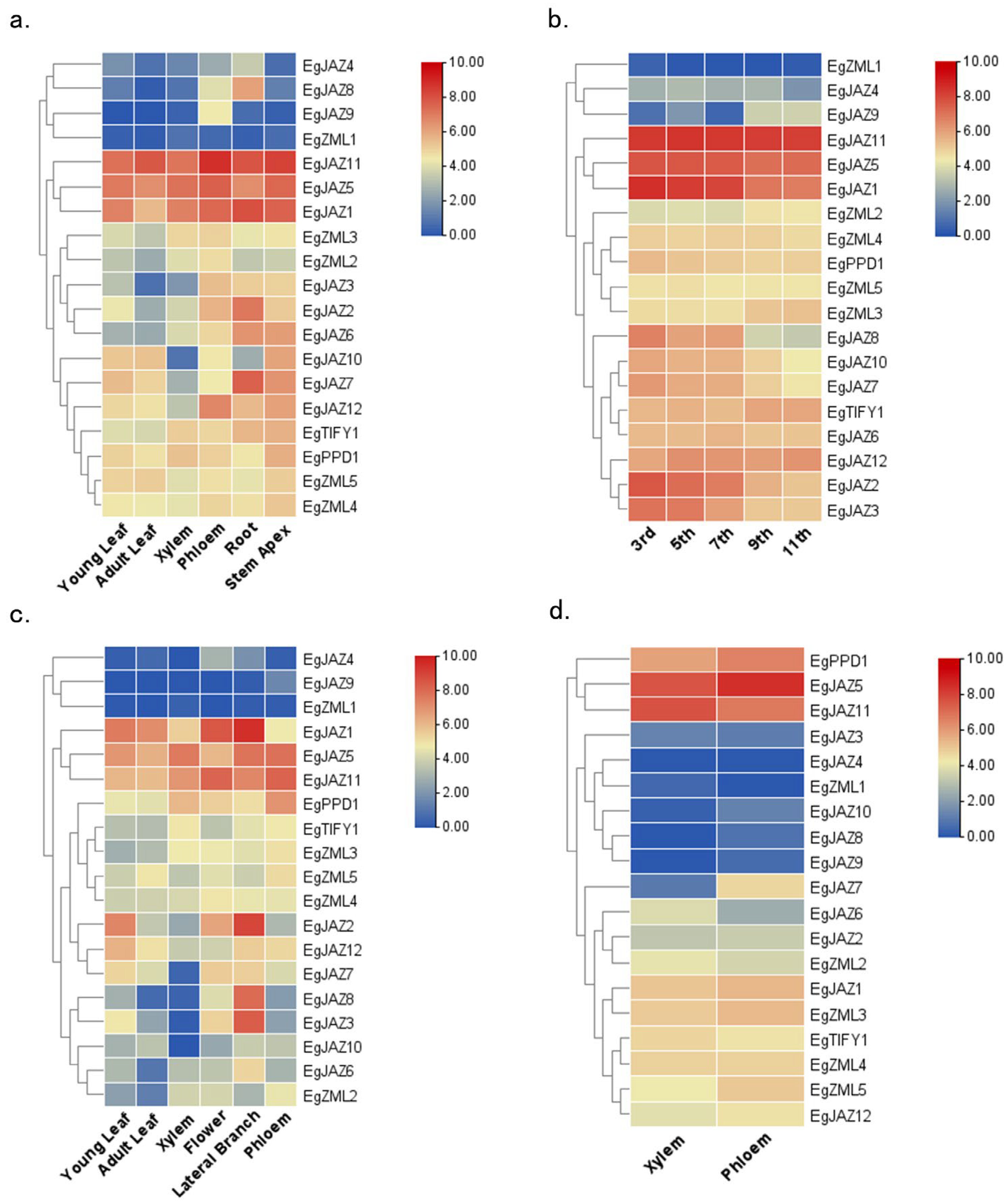 Ijms 26 07914 g006 Ijms 26 07914 g006