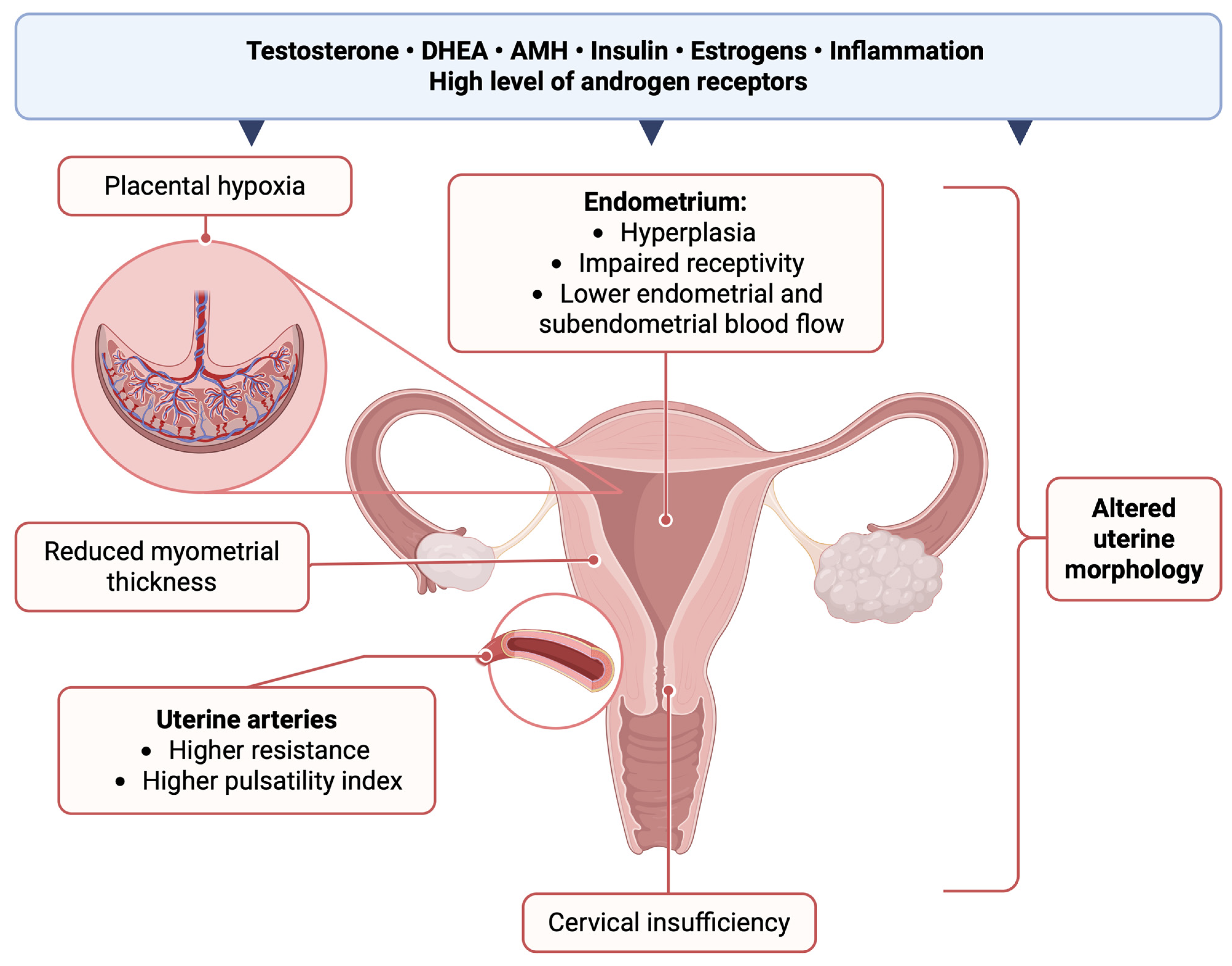 Ijms 26 07921 g001 Ijms 26 07921 g001