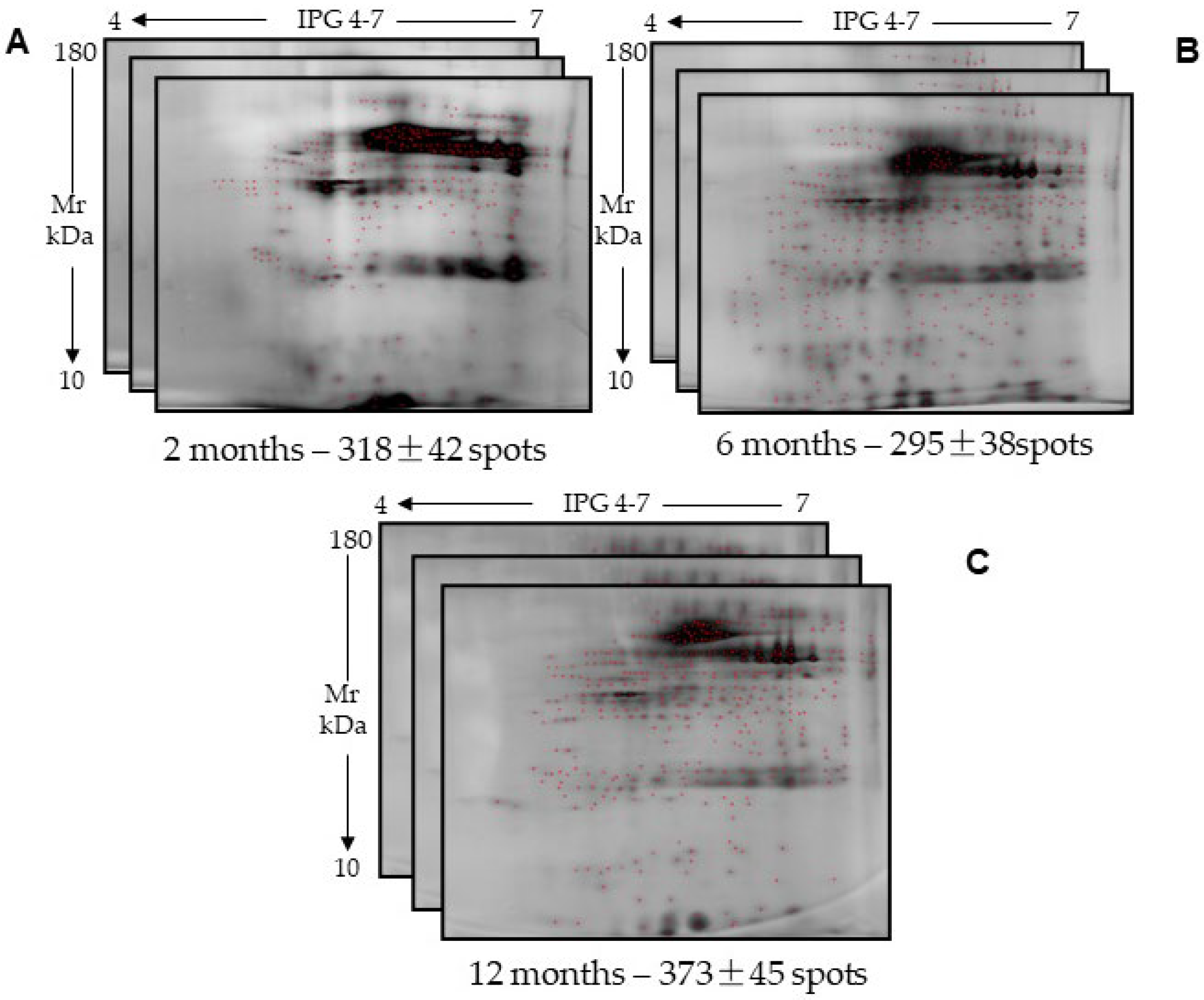 Ijms 26 07924 g002 Ijms 26 07924 g002