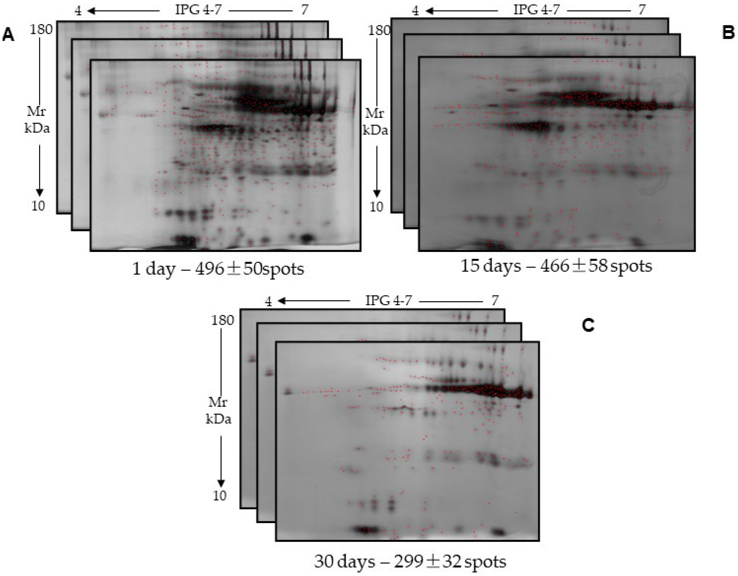 Ijms 26 07924 g003 Ijms 26 07924 g003