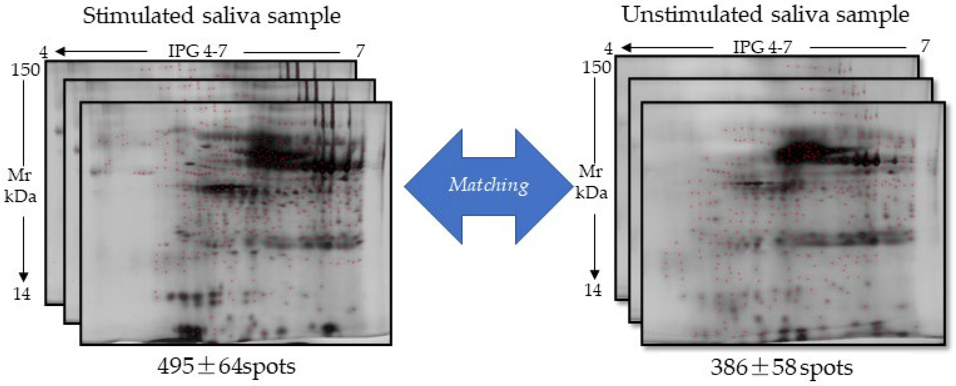 Ijms 26 07924 g004 Ijms 26 07924 g004