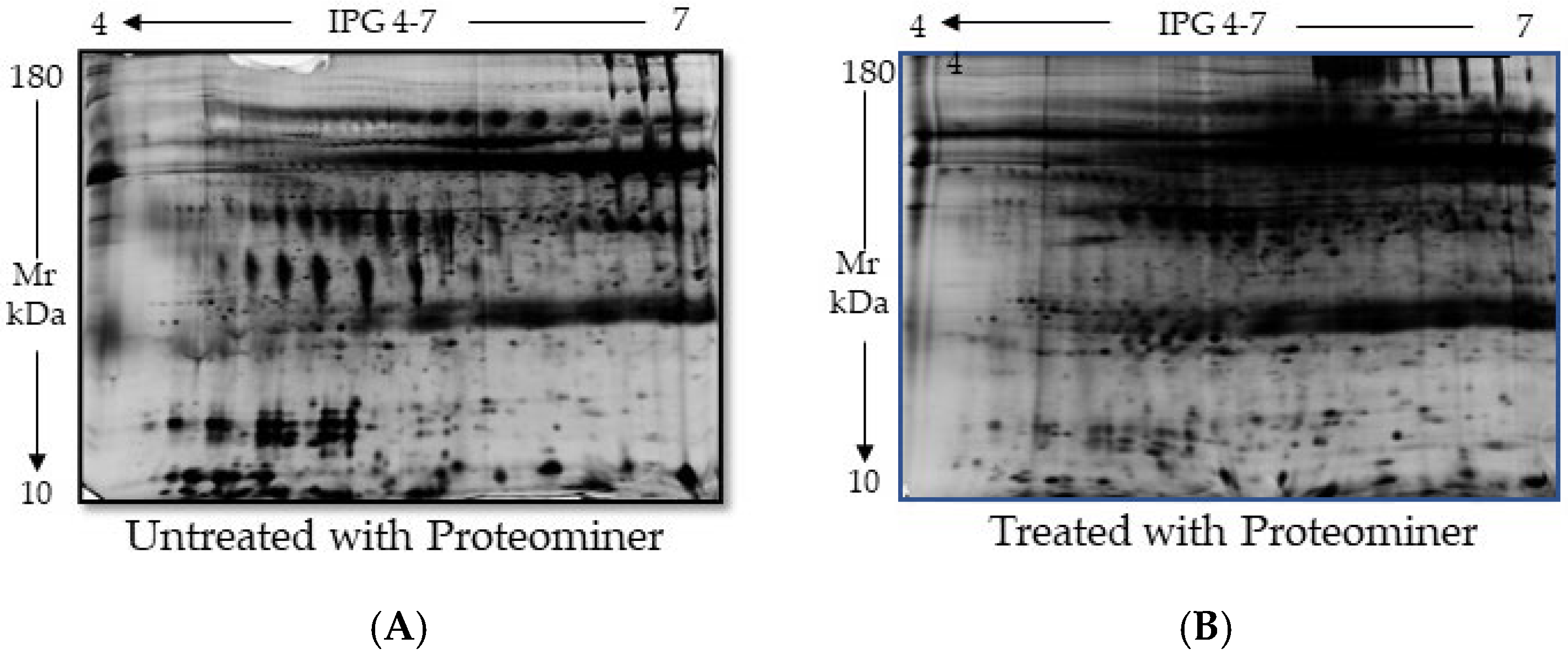 Ijms 26 07924 g005 Ijms 26 07924 g005