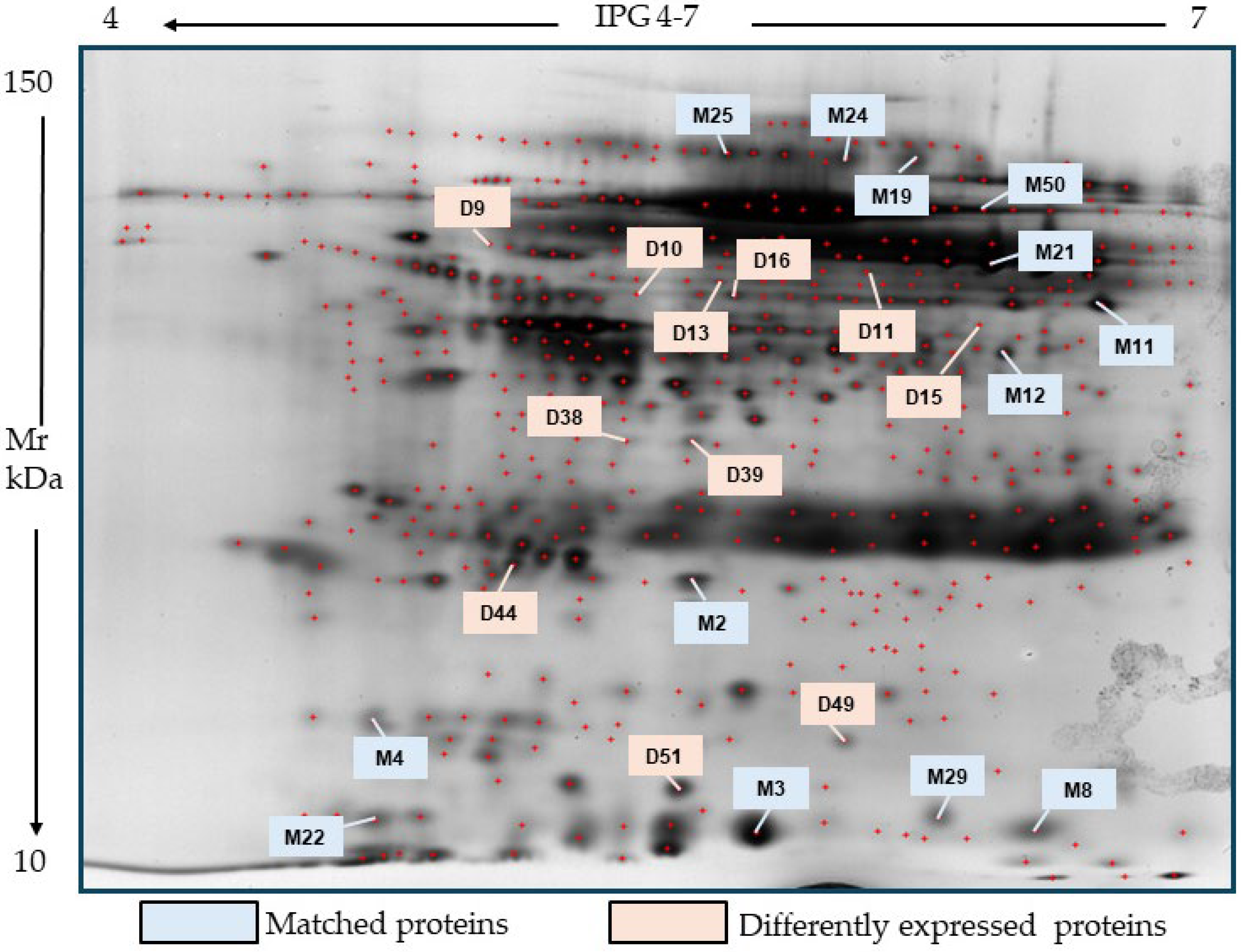 Ijms 26 07924 g006 Ijms 26 07924 g006