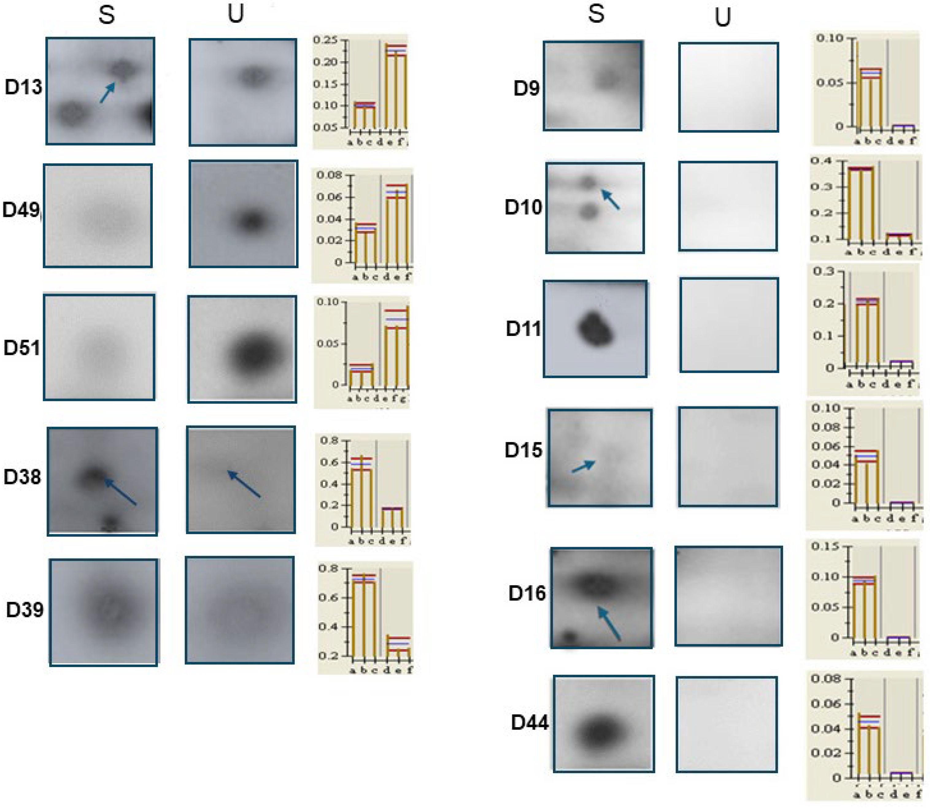 Ijms 26 07924 g007 Ijms 26 07924 g007