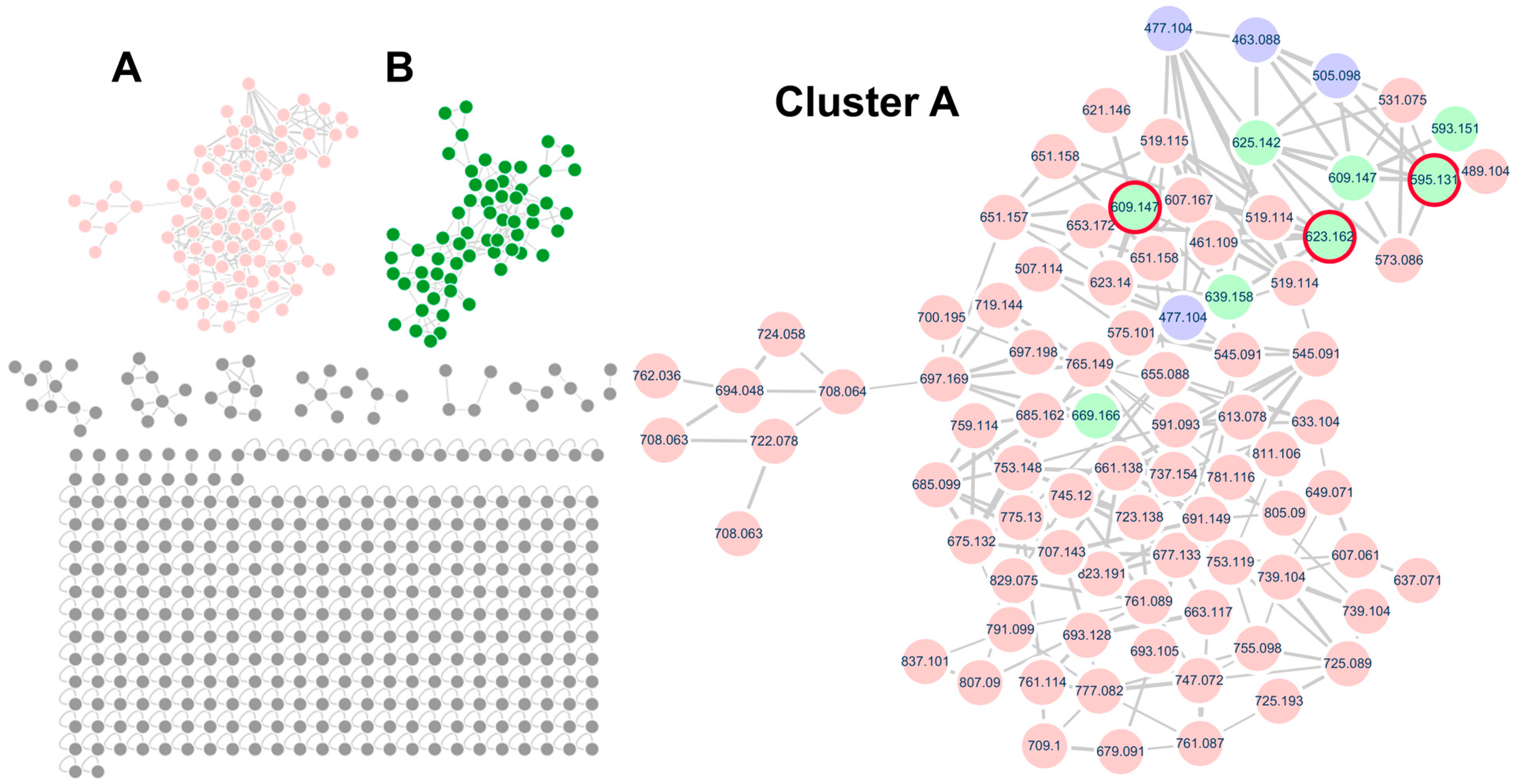 Ijms 26 07930 g002 Ijms 26 07930 g002